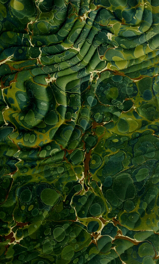 No text description is available for this image