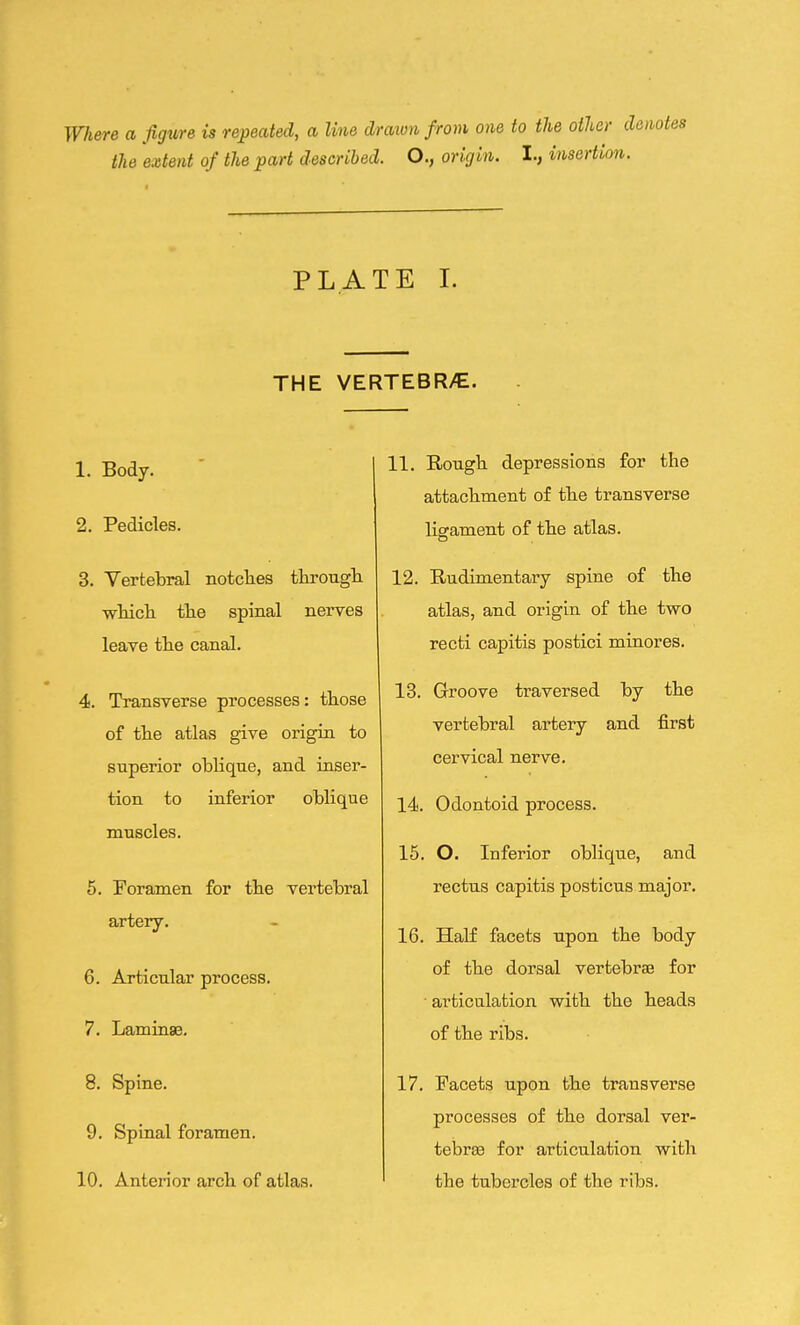 Where a figure is repeated, a line draion from one to the other denotes the extent of the part described. O., origin. I., insertion. PLATE I. THE VERTEBR/E. 1. Body. 2. Pedicles. 3. Vertebral notches through which the spinal nerves leave the canal. 4. Transverse processes: those of the atlas give origin to superior oblique, and inser- tion to inferior oblique muscles. 5. Foramen for the vertebral artery. 6. Articular process. 7. Laminae. 8. Spine. 9. Spinal foramen. 10. Anterior arch of atlas. 11. Rough depressions for the attachment of the transverse ligament of the atlas. 12. Rudimentary spine of the atlas, and origin of the two recti capitis postici minores. 13. Groove traversed by the vertebral artery and first cervical nerve. 14. Odontoid process. 15. O. Inferior oblique, and rectus capitis posticus major. 16. Half facets upon the body of the dorsal vertebrae for articulation with the heads of the ribs. 17. Facets upon the transverse processes of the dorsal ver- tebra for articulation with the tubercles of the ribs.