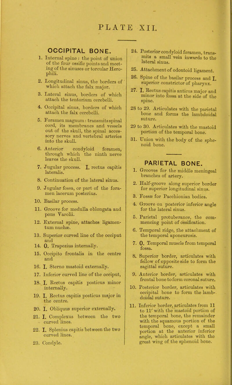 PLAT E XII. OCCIPITAL BONE. 1. Internal spine : the point of union of tho four ossific points and meet- ing of the sinuses or torcular Hero- phili. 2. Longitudinal sinus, the borders of ' which attach the fals major. 3. Lateral sinus, borders of which attach the tentorium cerebelli. 4. Occipital sinus, borders of which attach the falx cerebelli. 5. Foramen magnum: transmits spinal cord, its membranes and vessels out of the skull, the spinal acces- sory nerves and vertebral arteries into the skull. 6. Anterior condyloid foramen, through which the ninth nerve leaves the skull. 7. Jugular process. I. rectus capitis lateralis. 8. Continuation of the lateral sinus. 9. Jugular fossa, or part of the fora- men lacerum posterius. 10. Basilar process. 11. Groove for medulla oblongata and pons Varolii. 12. External spine, attaches ligamen- tum nucha?. 13. Superior curved line of the occiput and 14. 0. Trapezius internally. 15. Occipito frontalis in the centre and 16. I. Sterno mastoid externally. 17. Inferior curved line of the occiput, 18. I. Rectus capitis posticus minor internally. 19. I. Rectus capitis posticus major in the centre. 20. I. Obliquus superior externally. 21. I. Complexus between the two curved lines. 22. I. Splenius capitis between the two curved lines. 23. Condyle. 24. Posterior condyloid foramen, trans- mits a small vein inwards to the lateral sinus. 25. Attachment of odontoid ligament. 26. Spine of the basilar process and I. superior constrictor of pharynx. 27. I. Rectus capitis anticus major and minor into fossa at the side of the spine. 28 to 29. Articulates with the parietal bone and forms the lambdoidal suture. 29 to 30. Articulates with the mastoid portion of the temporal bone. 31. Union with the body of the sphe- noid bone. PARIETAL BONE. 1. Grooves for the middle meningeal branches of artery. 2. Half-groove along superior border for superior longitudinal sinus. 3. Fossae for Pacchionian bodies. 4. Groove on posterior inferior angle for the lateral sinus. 5. Parietal protuberance, the com- mencing point of ossification. 6. Temporal ridge, the attacliment of the temporal aponeurosis. 7. 0. Temporal muscle from temporal fossa. 8. Superior border, articulates with fellow of opposite side to form the sagittal suture. 9. Anterior border, articulates with frontal bone to form coronal suture. 10. Posterior border, articulates with occipital bone to form the lamb- doidal suture. 11. Inferior border, articulates from 11 to 11' with the mastoid portion of the temporal bone, the remainder with the squamous portion of the temporal bone, except a small portion at the anterior inferior angle, which articulates with the great wing of the sphenoid bone.