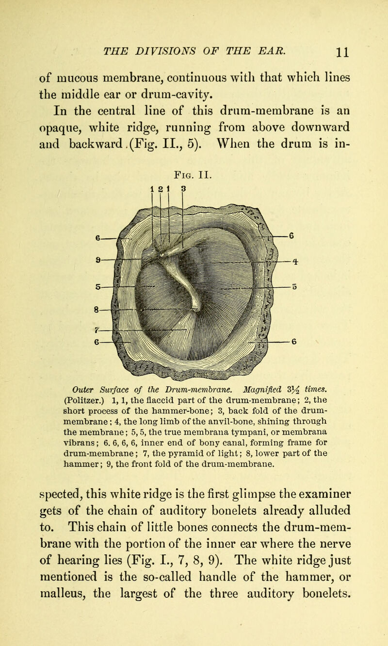 of mucous membrane, continuous with that which lines the middle ear or drum-cavity. In the central line of this drum-membrane is an opaque, white ridge, running from above downward and backward .(Fig. II., 5). When the drum is in- FlG. II. 12 1 3 Outer Surface of the Drum-membrane. Magnified S}4 times. (Politzer.) 1,1, the flaccid part of the drum-membrane; 2, the short process of the hammer-bone; 3, back fold of the drum- membrane ; 4, the long limb of the anvil-bone, shining through the membrane; 5,5, the true membrana tympani, or membrana vibrans; 6. 6, 6, 6, inner end of bony canal, forming frame for drum-membrane; 7, the pyramid of light; 8, lower part of the haromer; 9, the front fold of the drum-membrane. spected, this white ridge is the first glimpse the examiner gets of the chain of auditory bonelets already alluded to. This chain of little bones connects the drum-mem- brane with the portion of the inner ear where the nerve of hearing lies (Fig. I., 7, 8, 9). The white ridge just mentioned is the so-called handle of the hammer, or malleus, the largest of the three auditory bonelets.