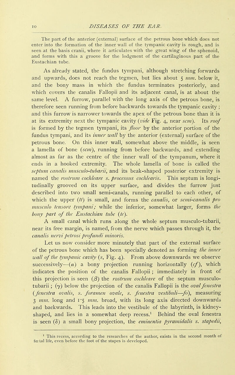 The part of the anterior (external) surface of the petrous bone which does not enter into the formation of the inner wall of the tympanic cavity is rough, and is seen at the basis cranii, where it articulates with the great wing of the sphenoid, and forms with this a groove for the lodgment of the cartilaginous part of the Eustachian tube. As already stated, the fundus tympani, although stretching forwards and upwards, does not reach the tegmen, but lies about 5 mm. below it, and the bony mass in which the fundus terminates posteriorly, and which covers the canalis Fallopii and its adjacent canal, is at about the same level. A furrow, parallel with the long axis of the petrous bone, is therefore seen running from before backwards towards the tympanic cavity ; and this furrow is narrower towards the apex of the petrous bone than it is at its extremity next the tympanic cavity (vide Fig. 4, near scm). Its roof is formed by the tegmen tympani, its floor by the anterior portion of the fundus tympani, and its inner wall by the anterior (external) surface of the petrous bone. On this inner wall, somewhat above the middle, is seen a lamella of bone (scm), running from before backwards, and extending almost as far as the centre of the inner wall of the tympanum, where it ends in a hooked extremity. The whole lamella of bone is called the septum canalis musculo-tubarii, and its beak-shaped posterior extremity is named the rostrum cochleare s. processus cochlearis. This septum is longi- tudinally grooved on its upper surface, and divides the furrow just described into two small semi-canals, running parallel to each other, of which the upper (tf) is small, and forms the canalis, or semi-canalis pro musculo tensore tympani; while the inferior, somewhat larger, forms the bony part of the Eustachian tube (te). A small canal which runs along the whole septum musculo-tubarii, near its free margin, is named, from the nerve which passes through it, the canalis nervi petrosi profundi minoris. Let us now consider more minutely that part of the external surface of the petrous bone which has been specially denoted as forming the inner wall of the tympanic cavity (s, Fig. 4). From above downwards we observe successively—(a) a bony projection running horizontally (cf), which indicates the position of the canalis Fallopii; immediately in front of this projection is seen (ß) the rostrum cochleare of the septum musculo- tubarii ; (j) below the projection of the canalis Fallopii is the oval fenestra (fenestra ovalis, s. foramen ovale, s. fenestra vestibuli—fo), measuring 3 mm. long and 1-5 mm. broad, with its long axis directed downwards and backwards. This leads into the vestibule of the labyrinth, is kidney- shaped, and lies in a somewhat deep recess.1 Behind the oval fenestra is seen (8) a small bony projection, the emincntia pyramidalis s. stapedn, 1 This recess, according to the researches of the author, exists in the second month of fcetal life, even before the foot of the stapes is developed.