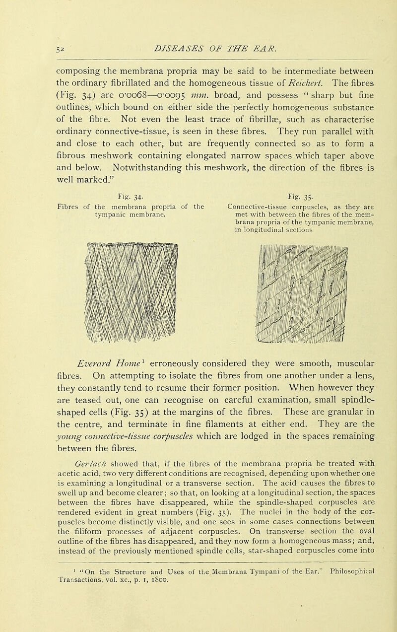 composing the membrana propria may be said to be intermediate between the ordinary fibrillated and the homogeneous tissue of Reichert. The fibres (Fig. 34) are croo68—0-0095 mm. broad, and possess  sharp but fine outlines, which bound on either side the perfectly homogeneous substance of the fibre. Not even the least trace of fibrillse, such as characterise ordinary connective-tissue, is seen in these fibres. They run parallel with and close to each other, but are frequently connected so as to form a fibrous meshwork containing elongated narrow spaces which taper above and below. Notwithstanding this meshwork, the direction of the fibres is well marked. Fife. 34- Fig. 35. Fibres of the membrana propria of the Connective-tissue corpuscles, as they are tympanic membrane. met with between the fibres of the mem- brana propria of the tympanic membrane, in longitudinal sections Everard Home1 erroneously considered they were smooth, muscular fibres. On attempting to isolate the fibres from one another under a lens, they constantly tend to resume their former position. When however they are teased out, one can recognise on careful examination, small spindle- shaped cells (Fig. 35) at the margins of the fibres. These are granular in the centre, and terminate in fine filaments at either end. They are the young connective-tissue corpuscles which are lodged in the spaces remaining between the fibres. Gerlach showed that, if the fibres of the membrana propria be treated with acetic acid, two very different conditions are recognised, depending upon whether one is examining a longitudinal or a transverse section. The acid causes the fibres to swell up and become clearer; so that, on looking at a longitudinal section, the spaces between the fibres have disappeared, while the spindle-shaped corpuscles are rendered evident in great numbers (Fig. 35). The nuclei in the body of the cor- puscles become distinctly visible, and one sees in some cases connections between the filiform processes of adjacent corpuscles. On transverse section the oval outline of the fibres has disappeared, and they now form a homogeneous mass; and, instead of the previously mentioned spindle cells, star-shaped corpuscles come into 1 On the Structure and Uses of the.Membrana Tympani of the Ear. Philosophical Transactions, vol. xc, p. I, 1S00.