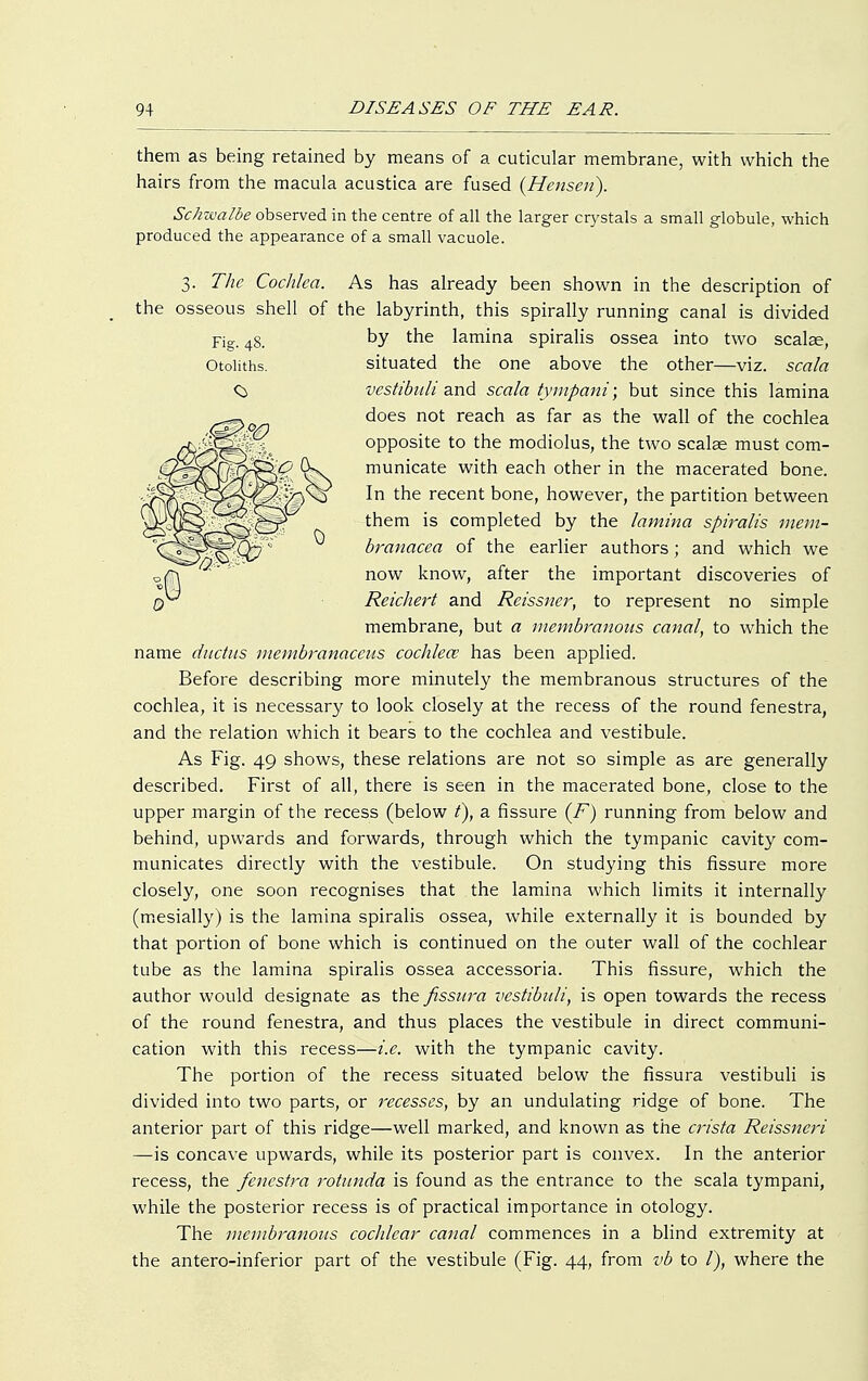 them as being retained by means of a cuticular membrane, with which the hairs from the macula acustica are fused (Hensen). Schwalbe observed in the centre of all the larger crystals a small globule, which produced the appearance of a small vacuole. 3. The Cochlea. As has already been shown in the description of the osseous shell of the labyrinth, this spirally running canal is divided Fig. 4g. by the lamina spiralis ossea into two scalee, Otoliths. situated the one above the other—viz. scala vestibuli and scala tympani; but since this lamina does not reach as far as the wall of the cochlea opposite to the modiolus, the two scalae must com- municate with each other in the macerated bone. In the recent bone, however, the partition between them is completed by the lamina spiralis mem- branacea of the earlier authors; and which we now know, after the important discoveries of Reichert and Reissner, to represent no simple membrane, but a membranous canal, to which the name ductus membranaceus cochlea has been applied. Before describing more minutely the membranous structures of the cochlea, it is necessary to look closely at the recess of the round fenestra, and the relation which it bears to the cochlea and vestibule. As Fig. 49 shows, these relations are not so simple as are generally described. First of all, there is seen in the macerated bone, close to the upper margin of the recess (below t), a fissure (F) running from below and behind, upwards and forwards, through which the tympanic cavity com- municates directly with the vestibule. On studying this fissure more closely, one soon recognises that the lamina which limits it internally (mesially) is the lamina spiralis ossea, while externally it is bounded by that portion of bone which is continued on the outer wall of the cochlear tube as the lamina spiralis ossea accessoria. This fissure, which the author would designate as the fissura vestibuli, is open towards the recess of the round fenestra, and thus places the vestibule in direct communi- cation with this recess—i.e. with the tympanic cavity. The portion of the recess situated below the fissura vestibuli is divided into two parts, or recesses, by an undulating ridge of bone. The anterior part of this ridge—well marked, and known as the crista Reissneri —is concave upwards, while its posterior part is convex. In the anterior recess, the fenestra rotunda is found as the entrance to the scala tympani, while the posterior recess is of practical importance in otology. The membranous cochlear canal commences in a blind extremity at the antero-inferior part of the vestibule (Fig. 44, from vb to /), where the