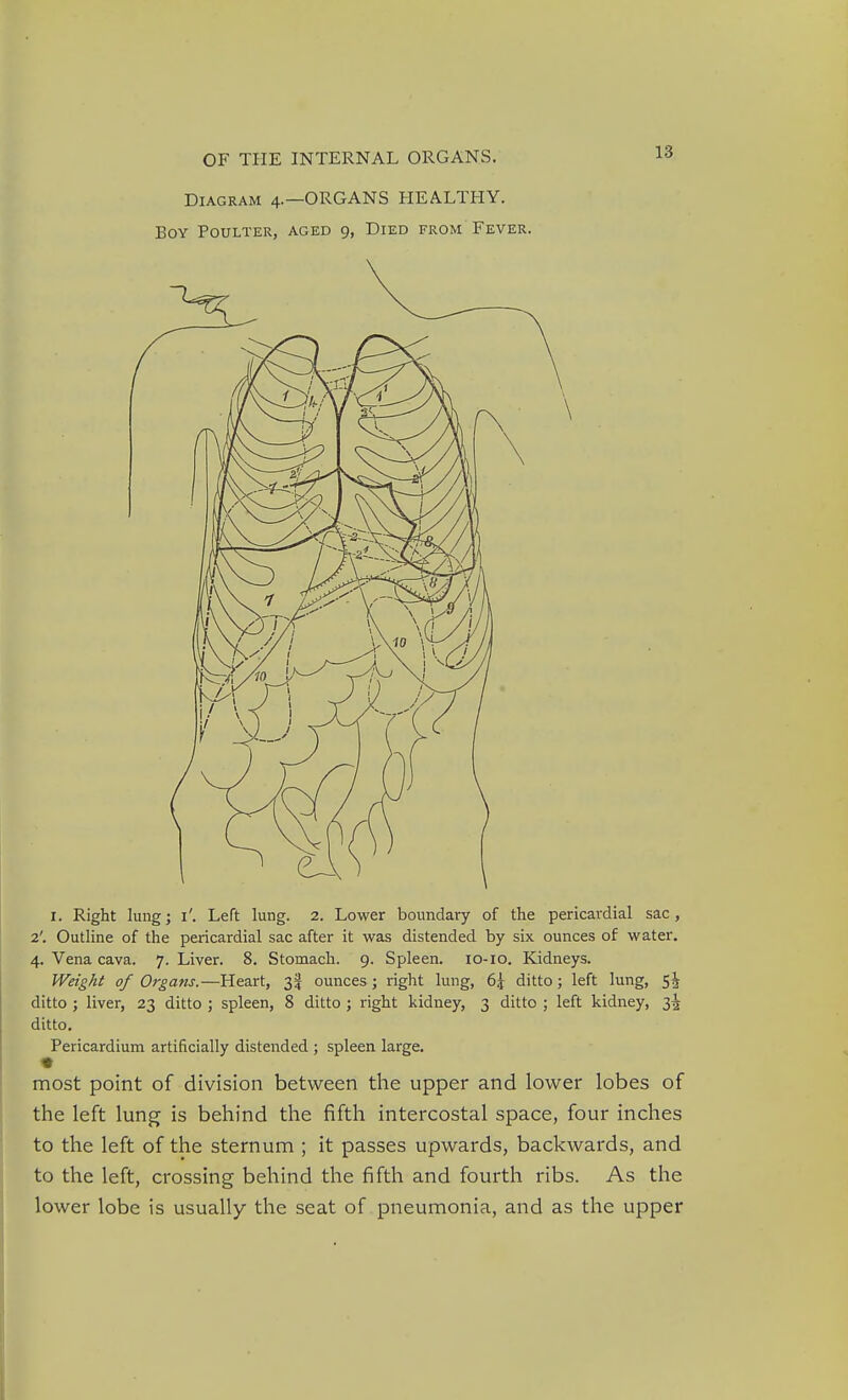 Diagram 4.—ORGANS HEALTHY. Boy Poulter, aged 9, Died from Fever. I. Right lung; i'. Left lung. 2. Lower boundary of the pericardial sac, 2'. Outline of the pericardial sac after it was distended by six ounces of water. 4. Vena cava. 7. Liver. 8. Stomach. 9. Spleen. 10-10. Kidneys. Weight of Organs.—Heart, 35 ounces ; right lung, 6j ditto; left lung, 5^ ditto ; liver, 23 ditto ; spleen, 8 ditto ; right kidney, 3 ditto ; left kidney, 3^ ditto. Pericardium artificially distended ; spleen large. most point of division between the upper and lower lobes of the left lung is behind the fifth intercostal space, four inches to the left of the sternum ; it passes upwards, backwards, and to the left, crossing behind the fifth and fourth ribs. As the lower lobe is usually the seat of pneumonia, and as the upper