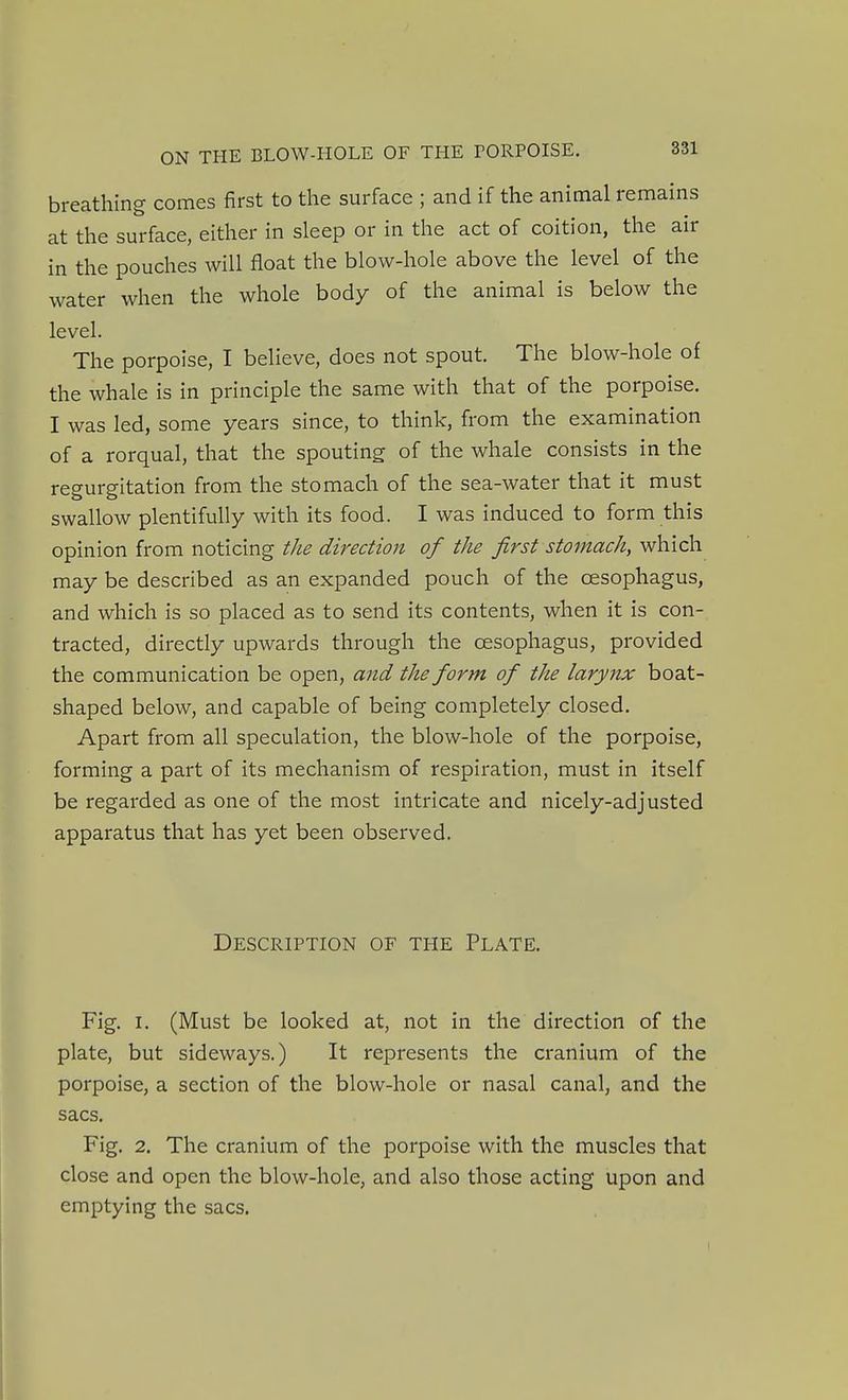 breathing comes first to the surface ; and if the animal remains at the surface, either in sleep or in the act of coition, the air in the pouches will float the blow-hole above the level of the water when the whole body of the animal is below the level. The porpoise, I believe, does not spout. The blow-hole of the whale is in principle the same with that of the porpoise. I was led, some years since, to think, from the examination of a rorqual, that the spouting of the whale consists in the regurgitation from the stomach of the sea-water that it must swallow plentifully with its food. I was induced to form this opinion from noticing the direction of the first stomach, which may be described as an expanded pouch of the oesophagus, and which is so placed as to send its contents, when it is con- tracted, directly upwards through the oesophagus, provided the communication be open, and the form of the larynx boat- shaped below, and capable of being completely closed. Apart from all speculation, the blow-hole of the porpoise, forming a part of its mechanism of respiration, must in itself be regarded as one of the most intricate and nicely-adjusted apparatus that has yet been observed. Description of the Plate. Fig. I. (Must be looked at, not in the direction of the plate, but sideways.) It represents the cranium of the porpoise, a section of the blow-hole or nasal canal, and the sacs. Fig. 2. The cranium of the porpoise with the muscles that close and open the blow-hole, and also those acting upon and emptying the sacs. I