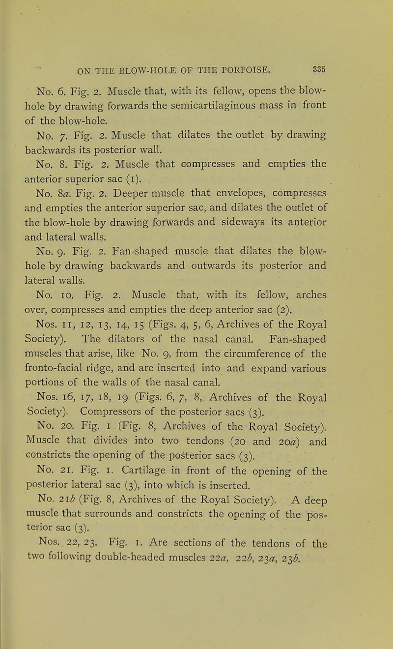 No. 6. Fig. 2. Muscle that, with its fellow, opens the blow- hole by drawing forwards the semicartilaginous mass in front of the blow-hole. No. 7. Fig. 2. Muscle that dilates the outlet by drawing backwards its posterior wall. No. 8. Fig. 2. Muscle that compresses and empties the anterior superior sac (i). No. 8a. Fig. 2. Deeper muscle that envelopes, compresses and empties the anterior superior sac, and dilates the outlet of the blow-hole by drawing forwards and sideways its anterior and lateral walls. No. 9. Fig. 2. Fan-shaped muscle that dilates the blow- hole by drawing backwards and outwards its posterior and lateral walls. No. 10. Fig. 2. Muscle that, with its fellow, arches over, compresses and empties the deep anterior sac (2). Nos. II, 12, 13, 14, 15 (Figs. 4, S, 6, Archives of the Royal Society). The dilators of the nasal canal. Fan-shaped muscles that arise, like No. 9, from the circumference of the fronto-facial ridge, and are inserted into and expand various portions of the walls of the nasal canal. Nos. 16, 17, 18, 19 (Figs. 6, 7, 8, Archives of the Royal Society). Compressors of the posterior sacs (3). No. 20. Fig. I (Fig. 8, Archives of the Royal Society). Muscle that divides into two tendons (20 and 20<^) and constricts the opening of the posterior sacs (3). No. 21. Fig. I. Cartilage in front of the opening of the posterior lateral sac (3), into which is inserted. No. 21 d (Fig. 8, Archives of the Royal Society). A deep muscle that surrounds and constricts the opening of the pos- terior sac (3). Nos. 22, 23. Fig. I. Are sections of the tendons of the two following double-headed muscles 22a, 22b, 21a, 21b.