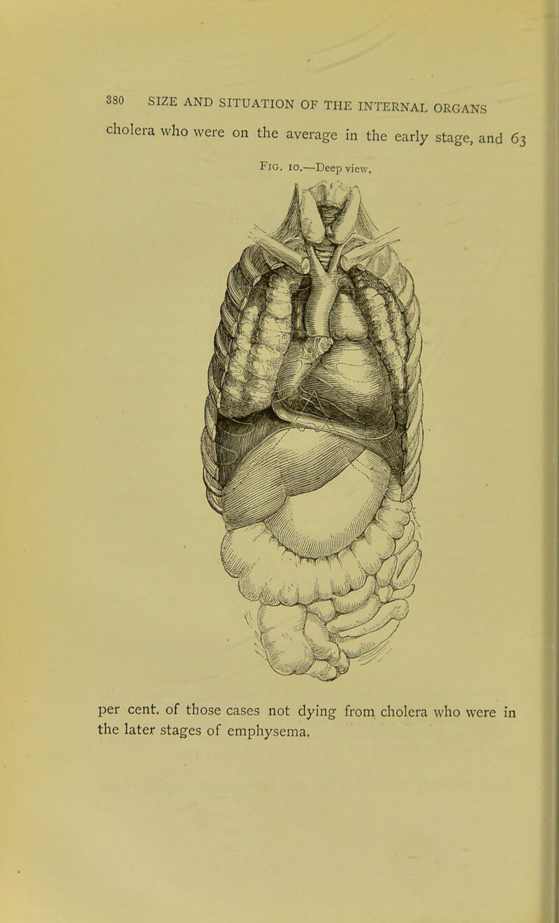 cholera who were on the average in the early stage, and 63 Fig. 10.—Deep view. per cent, of those cases not dying from cholera who were in the later stages of emphysema.