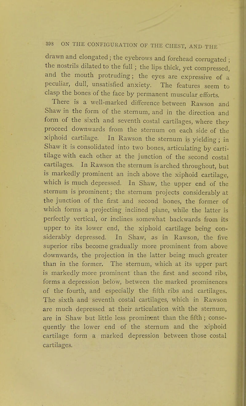 drawn and elongated; the eyebrows and forehead corrugated ; the nostrils dilated to the full ; the lips thick, yet compressed! and the mouth protruding; the eyes are expressive of a peculiar, dull, unsatisfied anxiety. The features seem to clasp the bones of the face by permanent muscular efforts. There is a well-marked difference between Rawson and Shaw in the form of the sternum, and in the direction and form of the sixth and seventh costal cartilages, where they proceed downwards from the sternum on each side of the xiphoid cartilage. In Rawson the sternum is yielding; in Shaw it is consohdated into two bones, articulating by carti- tilage with each other at the junction of the second costal cartilages. In Rawson the sternum is arched throughout, but is markedly prominent an inch above the xiphoid cartilage, which is much depressed. In Shaw, the upper end of the sternum is prominent; the sternum projects considerably at the junction of the first and second bones, the former of which forms a projecting inclined plane, while the latter is perfectly vertical, or inclines somewhat backwards from its upper to its lower end, the xiphoid cartilage being con- siderably depressed. In Shaw, as in Rawson, the five superior ribs become gradually more prominent from above downwards, the projection in the latter being much greater than in the former. The sternum, which at its upper part is markedly more prominent than the first and second ribs, forms a depression below, between the marked prominences of the fourth, and especially the fifth ribs and cartilages. The sixth and seventh costal cartilages, which in Rawson are much depressed at their articulation with the sternum, are in Shaw but little less prominent than the fifth ; conse- quently the lower end of the sternum and the xiphoid cartilage form a marked depression between those costal cartilages.