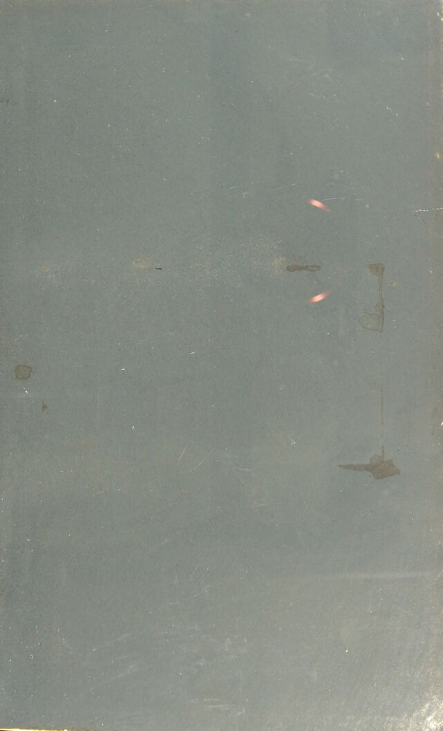 digitised image 3
