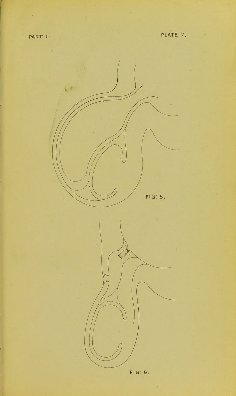 fig: 6.