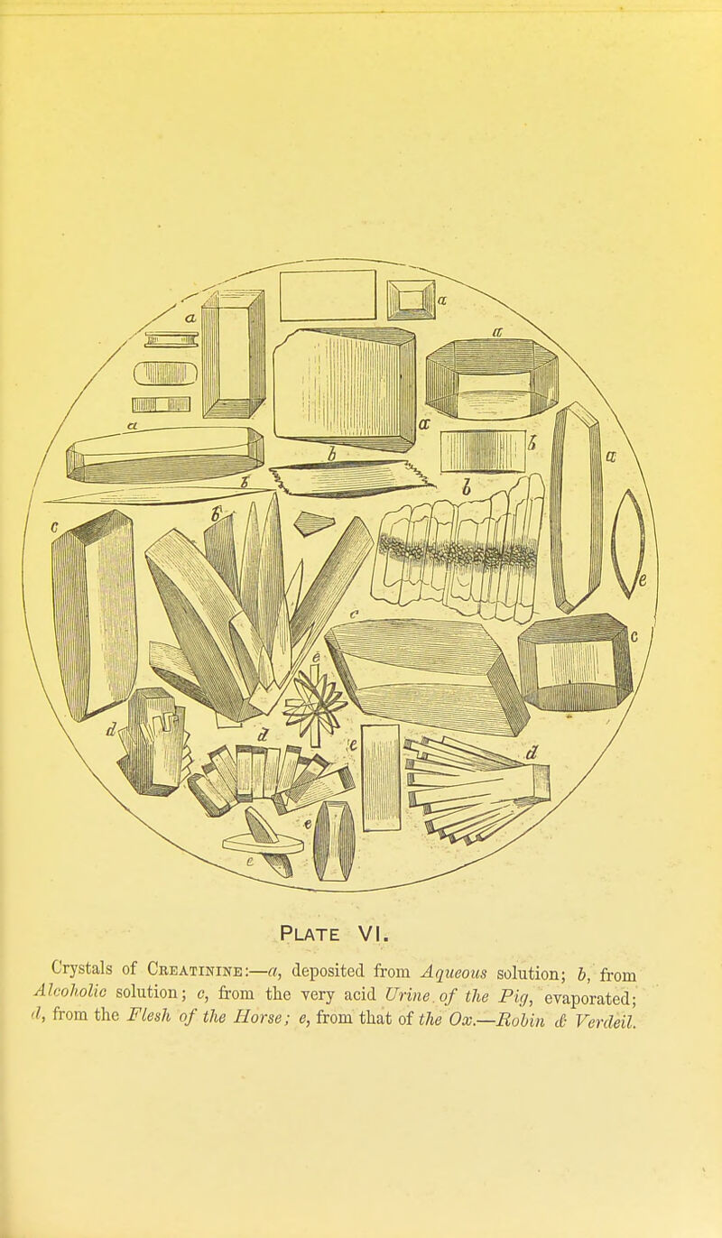 Crystals of Creatinine :—rt, deposited from Aqueous solution; &, from Alcoholic solution; c, from the very acid Urine, of the Pig, evaporated; '/, from the Flesh of the Horse; e, from that of the Ox.—Robin cC- Verdeil.