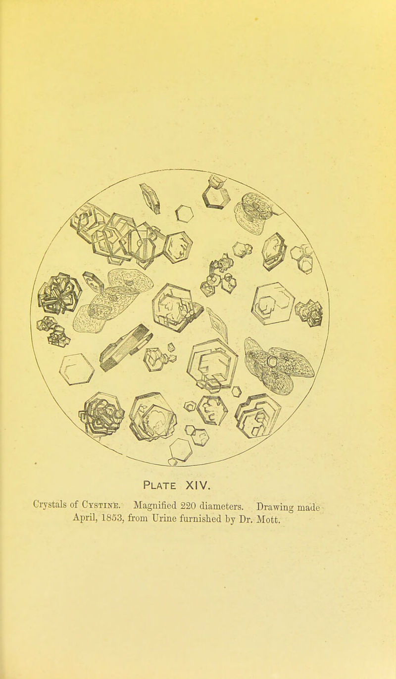 Crystals of CYSTiNte. Magnified 220 diameters. Drawing made April, 1853, from Urine furnished by Dr. Mott.