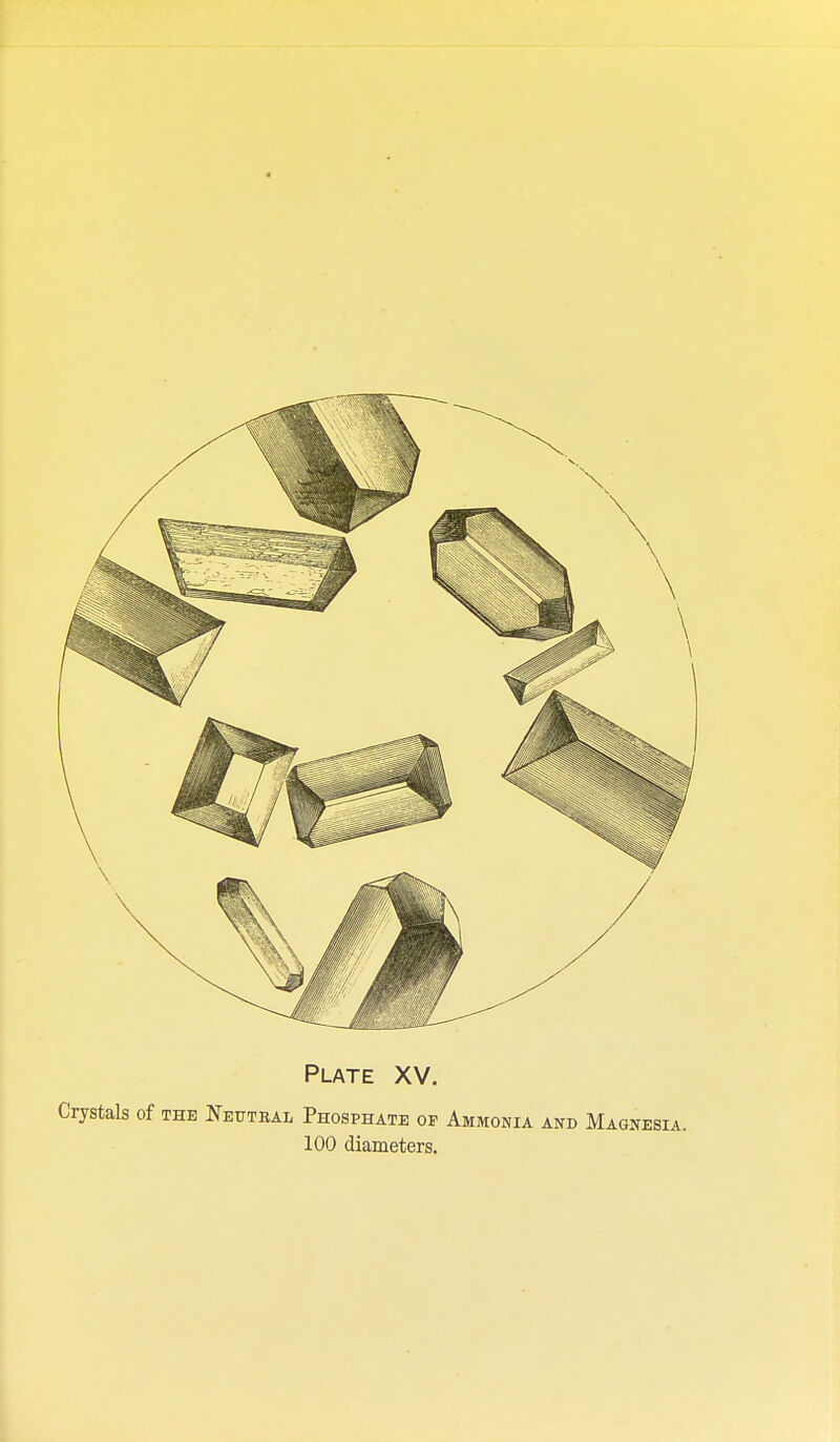 Crystals of the ^Tetttbal Phosphate of Ammonia and Magnesia. 100 diameters.