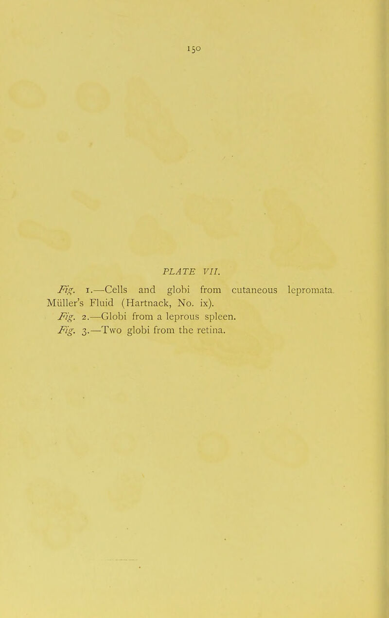 150 PLATE VII. Fig. I.—Cells and globi from cutaneous lepromata. Müllers Fluid (Hartnack, No. ix). Fig. 2.—Globi from a leprous spleen. Fig. 3.—Two globi from the retina.