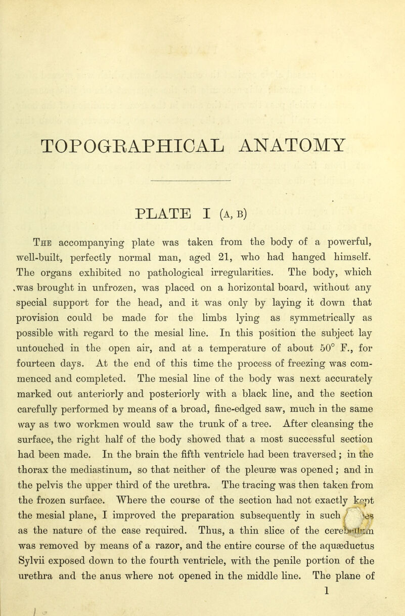 TOPOGEAPHIOAL ANATOMY PLATE I (A,B) The accompanying plate was taken from the body of a powerful, well-built, perfectly normal man, aged 21, who had hanged himself. The organs exhibited no pathological irregularities. The body, which was brought in unfrozen, was placed on a horizontal board, without any special support for the head, and it was only by laying it down that provision could be made for the limbs lying as symmetrically as possible with regard to the mesial line. In this position the subject lay untouched in the open air, and at a temperature of about 50° F., for fourteen days. At the end of this time the process of freezing was com- menced and completed. The mesial line of the body was next accurately marked out anteriorly and posteriorly with a black line, and the section carefully performed by means of a broad, fine-edged saw, much in the same way as two workmen would saw the trunk of a tree. After cleansing the surface, the right half of the body showed that a most successful section had been made. In the brain the fifth ventricle had been traversed; in the thorax the mediastinum, so that neither of the pleurse was opened; and in the pelvis the upper third of the urethra. The tracing was then taken from the frozen surface. Where the course of the section had not exactly kept the mesial plane, I improved the preparation subsequently in such 'os as the nature of the case required. Thus, a thin sHce of the cerebHi!!:m was removed by means of a razor, and the entire course of the aqugeductus Sylvii exposed down to the fourth ventricle, with the penile portion of the urethra and the anus where not opened in the middle line. The plane of 1