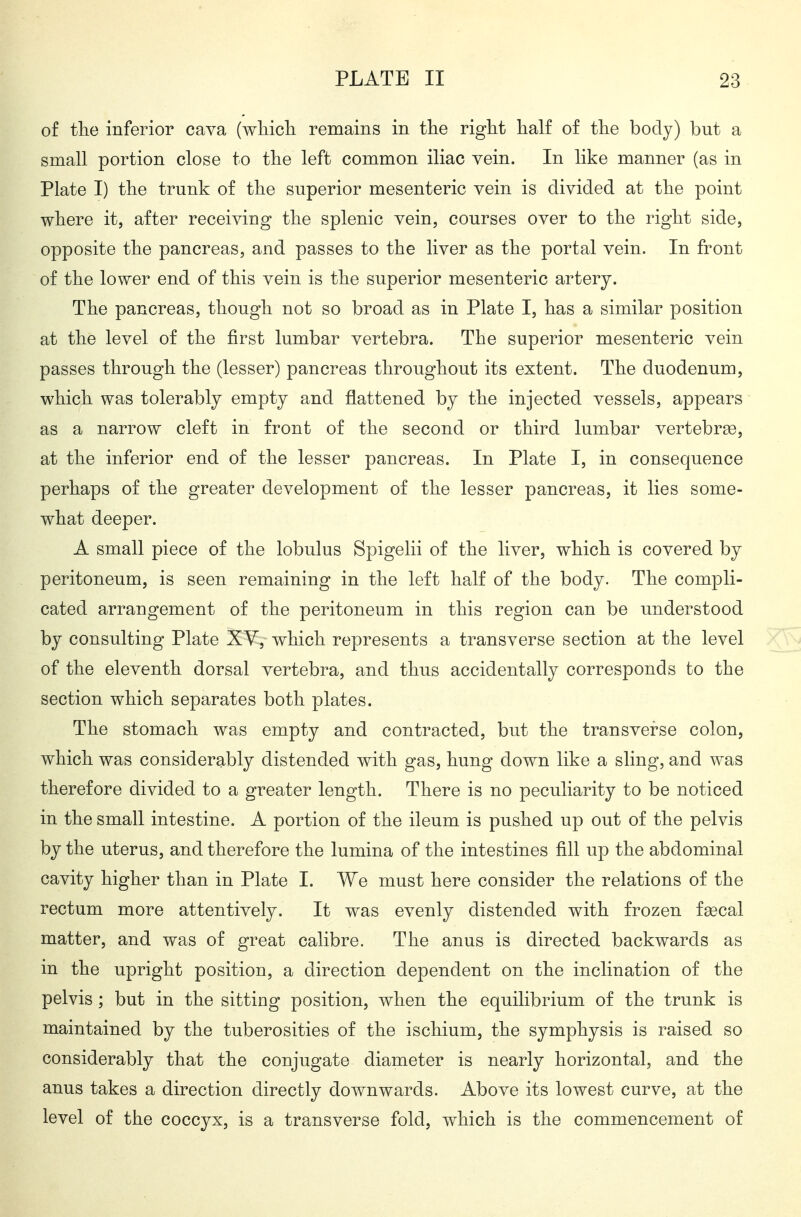 of tlie inferior cava (whicli remains in the right half of the body) but a small portion close to the left common iliac vein. In like manner (as in Plate I) the trunk of the superior mesenteric vein is divided at the point where it, after receiving the splenic vein, courses over to the right side, opposite the pancreas, and passes to the liver as the portal vein. In front of the lower end of this vein is the superior mesenteric artery. The pancreas, though not so broad as in Plate I, has a similar position at the level of the first lumbar vertebra. The superior mesenteric vein passes through the (lesser) pancreas throughout its extent. The duodenum, which was tolerably empty and flattened by the injected vessels, appears as a narrow cleft in front of the second or third lumbar vertebree, at the inferior end of the lesser pancreas. In Plate I, in consequence perhaps of the greater development of the lesser pancreas, it lies some- what deeper. A small piece of the lobulus Spigelii of the liver, which is covered by peritoneum, is seen remaining in the left half of the body. The compli- cated arrangement of the peritoneum in this region can be understood by consulting Plate XY, which represents a transverse section at the level of the eleventh dorsal vertebra, and thus accidentally corresponds to the section which separates both plates. The stomach was empty and contracted, but the transverse colon, which was considerably distended with gas, hung down like a sling, and was therefore divided to a greater length. There is no peculiarity to be noticed in the small intestine. A portion of the ileum is pushed up out of the pelvis by the uterus, and therefore the lumina of the intestines fill up the abdominal cavity higher than in Plate I. We must here consider the relations of the rectum more attentively. It was evenly distended with frozen fgecal matter, and was of great calibre. The anus is directed backwards as in the upright position, a direction dependent on the inclination of the pelvis ; but in the sitting position, when the equilibrium of the trunk is maintained by the tuberosities of the ischium, the symphysis is raised so considerably that the conjugate diameter is nearly horizontal, and the anus takes a direction directly downwards. Above its lowest curve, at the level of the coccyx, is a transverse fold, which is the commencement of