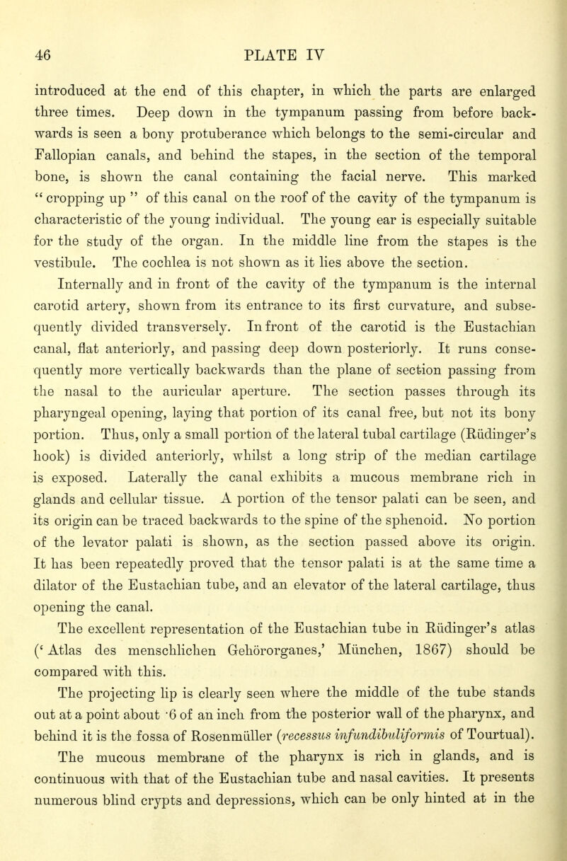 introduced at the end of this chapter, in which the parts are enlarged three times. Deep down in the tympanum passing from before back- wards is seen a bony protuberance which belongs to the semi=circular and Fallopian canals, and behind the stapes, in the section of the temporal bone, is shown the canal containing the facial nerve. This marked  cropping up  of this canal on the roof of the cavity of the tympanum is characteristic of the young individual. The young ear is especially suitable for the study of the organ. In the middle line from the stapes is the vestibule. The cochlea is not shown as it lies above the section. Internally and in front of the cavity of the tympanum is the internal carotid artery, shown from its entrance to its first curvature, and subse- quently divided transversely. In front of the carotid is the Eustachian canal, flat anteriorly, and passing deep down posteriorly. It runs conse- quently more vertically backwards than the plane of section passing from the nasal to the auricular aperture. The section passes through its pharyngeal opening, laying that portion of its canal free, but not its bony portion. Thus, only a small portion of the lateral tubal cartilage (Hiidinger's hook) is divided anteriorly, whilst a long strip of the median cartilage is exposed. Laterally the canal exhibits a mucous membrane rich in glands and cellular tissue. A portion of the tensor palati can be seen, and its origin can be traced backwards to the spine of the sphenoid. ]^o portion of the levator palati is shown, as the section passed above its origin. It has been repeatedly proved that the tensor palati is at the same time a dilator of the Eustachian tube, and an elevator of the lateral cartilage, thus opening the canal. The excellent representation of the Eustachian tube in Hiidinger's atlas (* Atlas des menschlichen Gehörorganes,' München, 1867) should be compared with this. The projecting lip is clearly seen where the middle of the tube stands out at a point about '6 of an inch from the posterior wall of the pharynx, and behind it is the fossa of Rosenmiiller (recessus mfundibuUformis of Tourtual). The mucous membrane of the pharynx is rich in glands, and is continuous with that of the Eustachian tube and nasal cavities. It presents numerous bhnd crypts and depressions, which can be only hinted at in the