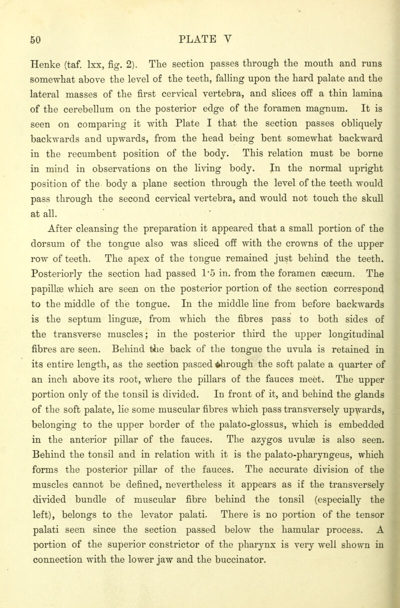 Henke (taf. Ixx, fig. 2). The section passes through the mouth and runs somewhat above the level of the teeth, falling upon the hard palate and the lateral masses of the first cervical vertebra, and slices off a thin lamina of the cerebellum on the posterior edge of the foramen magnum. It is seen on comparing it with Plate I that the section passes obliquely- back wards and upwards, from the head being bent somewhat backward in the recumbent position of the body. This relation must be borne in mind in observations on the living body. In the normal upright position of the body a plane section through the level of the teeth would pass through the second cervical vertebra, and would not touch the skull at all. After cleansing the preparation it appeared that a small portion of the dorsum of the tongue also was sliced off with the crowns of the upper row of teeth. The apex of the tongue remained just behind the teeth. Posteriorly the section had passed 1*5 in. from the foramen caecum. The papillae which are seen on the posterior portion of the section correspond to the middle of the tongue. In the middle line from before backwards is the septum linguae, from which the fibres pass to both sides of the transverse muscles; in the posterior third the upper longitudinal fibres are seen. Behind the back of the tongue the uvula is retained in its entire length, as the section passed trough the soft palate a quarter of an inch above its root, where the pillars of the fauces meet. The upper portion only of the tonsil is divided. In front of it, and behind the glands of the soft palate, lie some muscular fibres which pass transversely upwards, belonging to the upper border of the palato-glossus, which is embedded in the anterior pillar of the fauces. The azygos uvulae is also seen. Behind the tonsil and in relation with it is the palato-pharyngeus, which forms the posterior piUar of the fauces. The accurate division of the muscles cannot be defined, nevertheless it appears as if the transversely divided bundle of muscular fibre behind the tonsil (especially the left), belongs to the levator palati. There is no portion of the tensor palati seen since the section passed below the hamular process. A portion of the superior constrictor of the pharynx is very well shown in connection with the lower jaw and the buccinator.