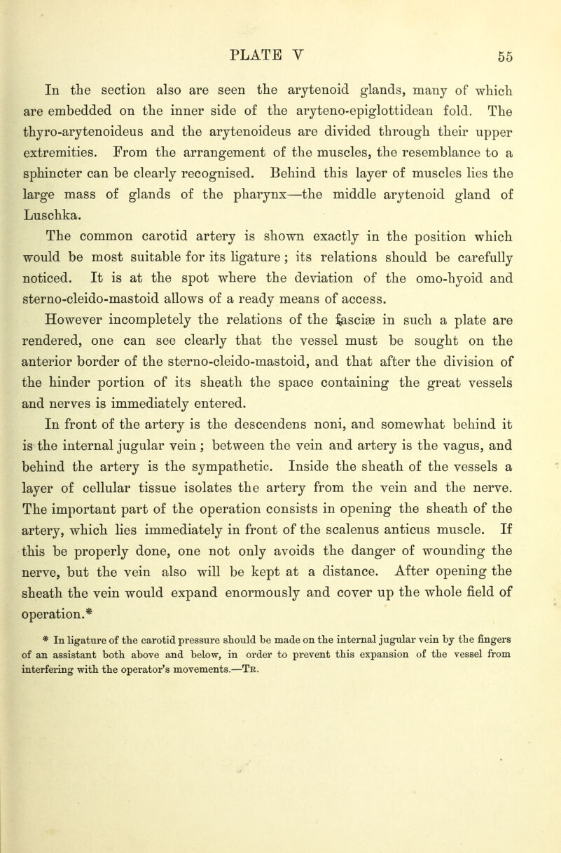 In the section also are seen the arytenoid glands, many of which are embedded on the inner side of the aryteno-epiglottidean fold. The thyro-arytenoideus and the arytenoideus are divided through their upper extremities. From the arrangement of the muscles, the resemblance to a sphincter can be clearly recognised. Behind this layer of muscles lies the large mass of glands of the pharynx—the middle arytenoid gland of Luschka. The common carotid artery is shown exactly in the position which would be most suitable for its ligature; its relations should be carefully noticed. It is at the spot where the deviation of the omo-hyoid and sterno-cleido-mastoid allows of a ready means of access. However incompletely the relations of the tßQcisd in such a plate are rendered, one can see clearly that the vessel must be sought on the anterior border of the sterno-cleido-mastoid, and that after the division of the hinder portion of its sheath the space containing the great vessels and nerves is immediately entered. In front of the artery is the descendens noni, and somewhat behind it is the internal jugular vein ; between the vein and artery is the vagus, and behind the artery is the sympathetic. Inside the sheath of the vessels a layer of cellular tissue isolates the artery from the vein and the nerve. The important part of the operation consists in opening the sheath of the artery, which lies immediately in front of the scalenus anticus muscle. If this be properly done, one not only avoids the danger of wounding the nerve, but the vein also will be kept at a distance. After opening the sheath the vein would expand enormously and cover up the whole field of operation.* * In ligature of the carotid pressure should be made on tlie internal jugular vein by the fingers of an assistant botb above and below, in order to prevent tbis expansion of the vessel from interfering with the operator's movements.—Tr.