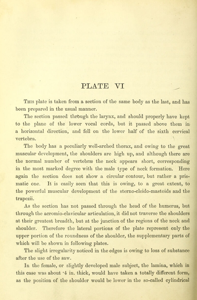 PLATE VI This plate is taken from a section of tlie same body as the last, and has been prepared in the usual manner. The section passed through the larynx, and should properly have kept to the plane of the lower vocal cords, but it passed above them in a horizontal direction, and fell on the lower half of the sixth cervical vertebra. \ The body has a peculiarly well-arched thorax, and owing to the great muscular development, the shoulders are high up, and although there are the normal number of vertebrae the neck appears short, corresponding in the most marked degree with the male type of neck formation. Here again the section does not show a circular contour, but rather a pris- matic one. It is easily seen that this is owing, to a great extent, to the powerful muscular development of the sterno-cleido-mastoids and the trapezii. As the section has not passed through the head of the humerus, but through the acromio-clavicular articulation, it did not traverse the shoulders at their greatest breadth, but at the junction of the regions of the neck and shoulder. Therefore the lateral portions of the plate represent only the upper portion of the roundness of the shoulder, the supplementary parts of which will be shown in following plates. The slight irregularity noticed in the edges is owing to loss of substance after the use of the saw. In the female, or slightly developed male subject, the lamina, which in this case was about '4 in. thick, would have taken a totally different form, as the position of the shoulder would be lower in the so-called cylindrical