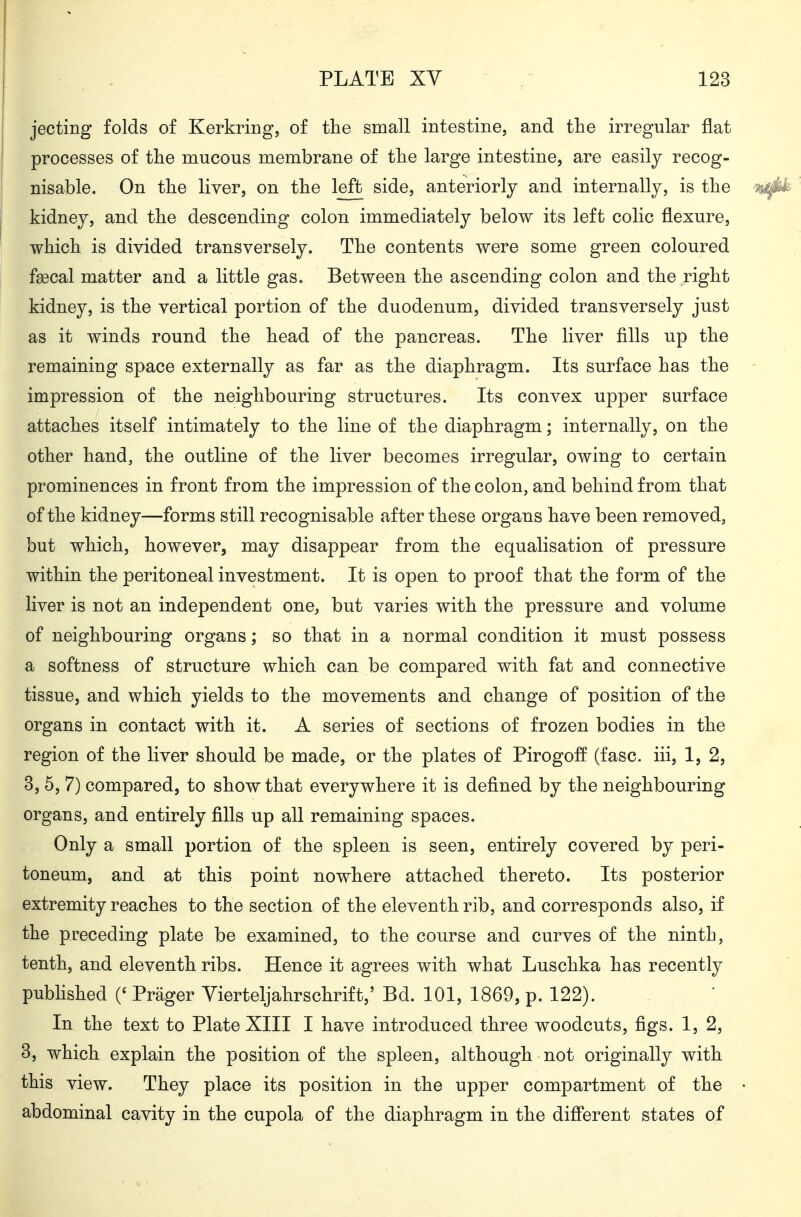 jecting folds of Kerkring, of the small intestine, and the irregular flat processes of the mucous membrane of the large intestine, are easily recog- nisable. On the liver, on the left side, anteriorly and internally, is the kidney, and the descending colon immediately below its left colic flexure, which is divided transversely. The contents were some green coloured fgecal matter and a little gas. Between the ascending colon and the right kidney, is the vertical portion of the duodenum, divided transversely just as it winds round the head of the pancreas. The liver fills up the remaining space externally as far as the diaphragm. Its surface has the impression of the neighbouring structures. Its convex upper surface attaches itself intimately to the line of the diaphragm; internally, on the other hand, the outline of the liver becomes irregular, owing to certain prominences in front from the impression of the colon, and behind from that of the kidney—forms still recognisable after these organs have been removed, but which, however, may disappear from the equalisation of pressure within the peritoneal investment. It is open to proof that the form of the liver is not an independent one, but varies with the pressure and volume of neighbouring organs; so that in a normal condition it must possess a softness of structure which can be compared with fat and connective tissue, and which yields to the movements and change of position of the organs in contact with it. A series of sections of frozen bodies in the region of the liver should be made, or the plates of Pirogoff (fasc. iii, 1, 2, 3, 5, 7) compared, to show that everywhere it is defined by the neighbouring organs, and entirely fills up all remaining spaces. Only a small portion of the spleen is seen, entirely covered by peri- toneum, and at this point nowhere attached thereto. Its posterior extremity reaches to the section of the eleventh rib, and corresponds also, if the preceding plate be examined, to the course and curves of the ninth, tenth, and eleventh ribs. Hence it agrees with what Luschka has recently published Präger Yierteljahrschrift,' Bd. 101, 1869, p. 122). In the text to Plate XIII I have introduced three woodcuts, figs. 1, 2, 3, which explain the position of the spleen, although not originally with this view. They place its position in the upper compartment of the abdominal cavity in the cupola of the diaphragm in the difierent states of