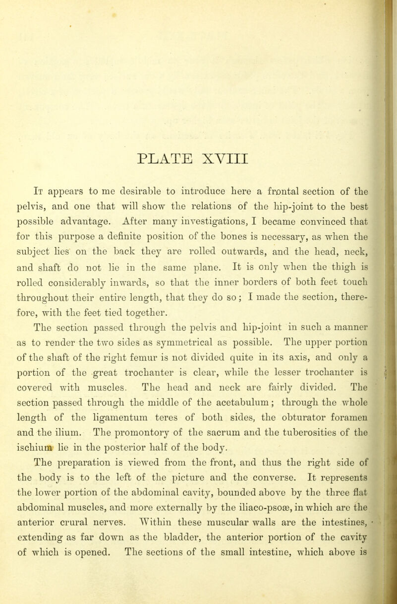 It appears to me desirable to introduce here a frontal section of tlie pelvis, and one that will show the relations of the hip-joint to the best possible advantage. After many investigations, I became convinced that for this purpose a definite position of the bones is necessary, as when the subject lies on the back they are rolled outwards, and the head, neck, and shaft do not lie in the same plane. It is only when the thigh is rolled considerably inwards, so that the inner borders of both feet touch throughout their entire length, that they do so; I made the section, there- fore, with the feet tied together. The section passed through the pelvis and hip-joint in such a manner as to render the two sides as symmetrical as possible. The upper portion of the shaft of the right femur is not divided quite in its axis, and only a portion of the great trochanter is clear, while the lesser trochanter is covered with muscles. The head and neck are fairly divided. The section passed through the middle of the acetabulum; through the whole length of the ligamentum teres of both sides, the obturator foramen and the ilium. The promontory of the sacrum and the tuberosities of the ischium lie in the posterior half of the body. The preparation is viewed from the front, and thus the right side of the body is to the left of the picture and the converse. It represents the lower portion of the abdominal cavity, bounded above by the three flat abdominal muscles, and more externally by the iliaco-psose, in which are the anterior crural nerves. Within these muscular walls are the intestines, extending as far down as the bladder, the anterior portion of the cavity of which is opened. The sections of the small intestine, which above is