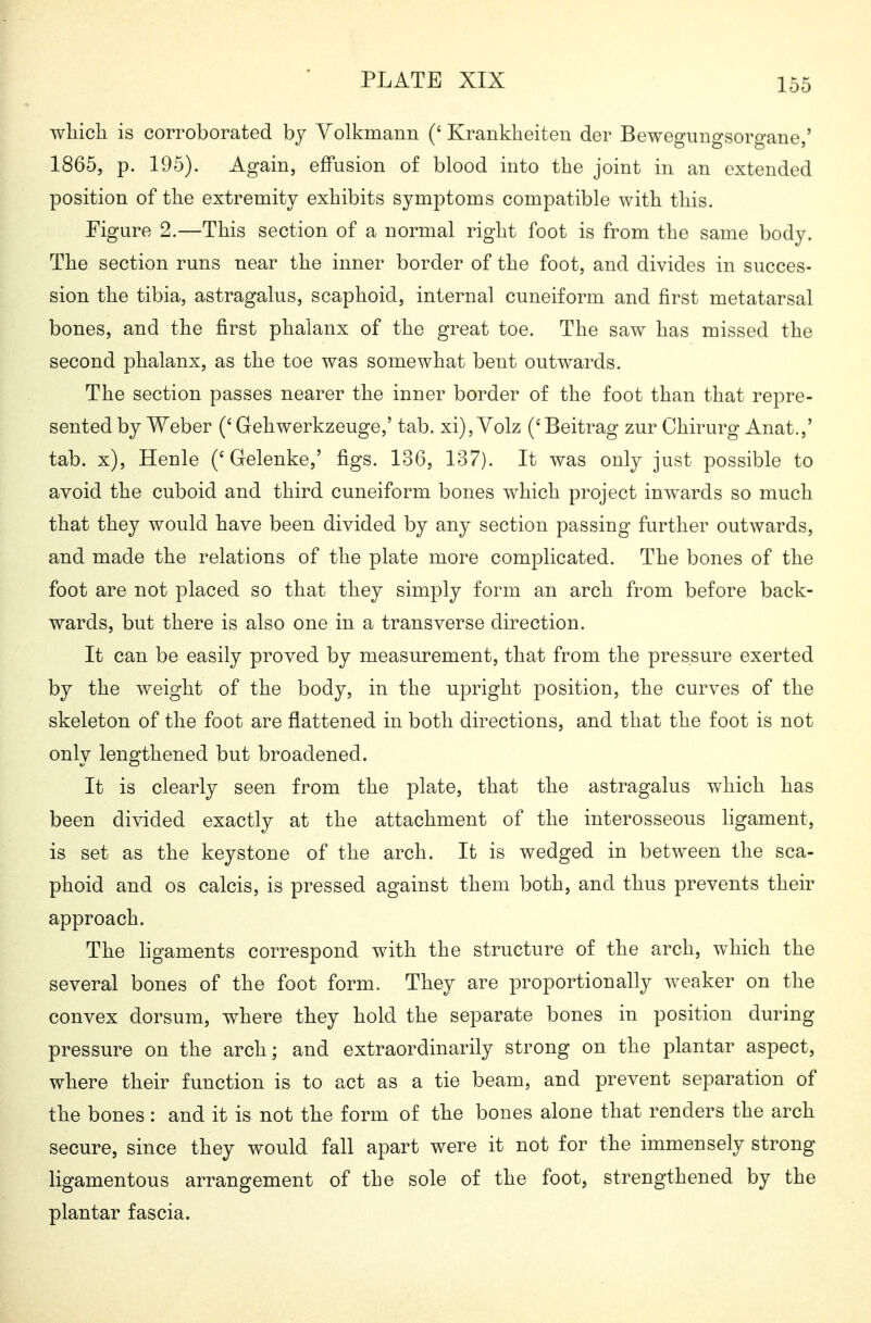 wliicli is corroborated by Yolkmann (' Krankheiten der Bewegungsorgane,' 1865, p. 195). Again, effusion of blood into the joint in an extended position of the extremity exhibits symptoms compatible with this. Figure 2.—This section of a normal right foot is from the same body. The section runs near the inner border of the foot, and divides in succes- sion the tibia, astragalus, scaphoid, internal cuneiform and first metatarsal bones, and the first phalanx of the great toe. The saw has missed the second phalanx, as the toe was somewhat bent outwards. The section passes nearer the inner border of the foot than that repre- sented by Weber (' Gehwerkzeuge,' tab. xi), Yolz ('Beitrag zur Chirurg Anat.,' tab. x), Henle (' Gelenke,' figs. 136, 137). It was only just possible to avoid the cuboid and third cuneiform bones which project inwards so much that they would have been divided by any section passing further outwards, and made the relations of the plate more complicated. The bones of the foot are not placed so that they simply form an arch from before back- wards, but there is also one in a transverse direction. It can be easily proved by measurement, that from the pressure exerted by the weight of the body, in the upright position, the curves of the skeleton of the foot are flattened in both directions, and that the foot is not only lengthened but broadened. It is clearly seen from the plate, that the astragalus which has been divided exactly at the attachment of the interosseous ligament, is set as the keystone of the arch. It is wedged in between the sca- phoid and OS calcis, is pressed against them both, and thus prevents their approach. The ligaments correspond with the structure of the arch, which the several bones of the foot form. They are proportionally weaker on the convex dorsum, where they hold the separate bones in position during pressure on the arch; and extraordinarily strong on the plantar aspect, where their function is to act as a tie beam, and prevent separation of the bones: and it is not the form of the bones alone that renders the arch secure, since they would fall apart were it not for the immensely strong ligamentous arrangement of the sole of the foot, strengthened by the plantar fascia.