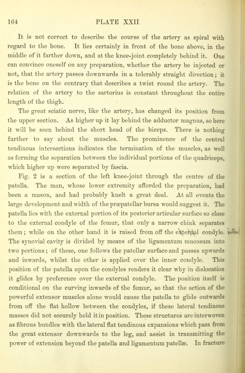 It is not correct to describe the course of the artery as spiral with regard to the bone. It lies certainly in front of the bone above, in the middle of it farther down, and at the knee-joint completely behind it. One can convince oneself on any preparation, whether the artery be injected or not, that the ai^tery passes downwards in a tolerably straight direction; it is the bone on the contrary that describes a twist round the artery. The relation of the artery to the sartorius is constant throughout the entire lenofth of the thio^h. The great sciatic nerve, like the artery, has changed its position from the upper section. As higher up it lay behind the adductor magnus, so here it will be seen behind the short head of the biceps. There is nothing further to say about the muscles. The prominence of the central tendinous intersections indicates the termination of the muscles, as well as forming the separation between the individual portions of the quadriceps, which higher up were separated by fascia. Fig. 2 is a section of the left knee-joint through the centre of the patella. The man, whose lower extremity afforded the preparation, had been a mason, and had probably knelt a great deal. At all events the large development and width of the prsepatellar bursa would suggest it. The patella lies with the external portion of its posterior articular surface so close to the external condyle of the femur, that only a narrow chink separates them; while on the other hand it is raised from off the e\te}^l condyle. yJ^A The synovial cavity is divided by means of the ligamentum mucosum into two portions; of these, one follows the patellar surface and passes upwards and inwards, whilst the other is applied over the inner condyle. This position of the patella upon the condyles renders it clear why in dislocation it glides by preference over the external condyle. The position itself is conditional on the curving inwards of the femur, so that the action of the powerful extensor muscles alone would cause the patella to glide outwards from off the flat hollow between the condyles, if these lateral tendinous masses did not securely hold it in position. These structures are interwoven as fibrous bundles with the lateral flat tendinous expansions which pass from the great extensor downwards to the leg, and assist in transmitting the power of extension beyond the patella and ligamentum patellge. In fracture