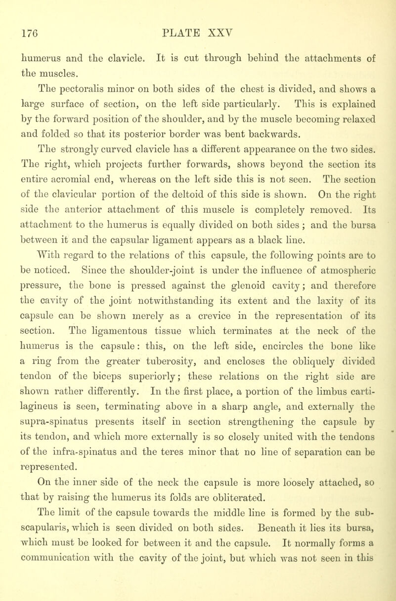 humerus and the clavicle. It is cut through behind the attachments of the muscles. The pectoralis minor on both sides of the chest is divided, and shows a large surface of section, on the left side particularly. This is explained by the forward position of the shoulder, and by the muscle becoming relaxed and folded so that its posterior border was bent backwards. The strongly curved clavicle has a different appearance on the two sides. The right, which projects further forwards, shows beyond the section its entire acromial end, whereas on the left side this is not seen. The section of the clavicular portion of the deltoid of this side is shown. On the right side the anterior attachment of this muscle is completely removed. Its attachment to the humerus is equally divided on both sides ; and the bursa between it and the capsular ligament appears as a black line. With regard to the relations of this capsule, the following points are to be noticed. Since the shoulder-joint is under the influence of atmospheric pressure, the bone is pressed against the glenoid cavity; and therefore the cavity of the joint notwithstanding its extent and the laxity of its capsule can be shown merely as a crevice in the representation of its section. The ligamentous tissue which terminates at the neck of the humerus is the capsule: this, on the left side, encircles the bone like a ring from the greater tuberosity, and encloses the obliquely divided tendon of the biceps superiorly; these relations on the right side are shown rather differently. In the first place, a portion of the limbus carti- lagineus is seen, terminating above in a sharp angle, and externally the supra-spinatus presents itself in section strengthening the capsule by its tendon, and which more externally is so closely united with the tendons of the infra-spinatus and the teres minor that no line of separation can be represented. On the inner side of the neck the capsule is more loosely attached, so that by raising the humerus its folds are obliterated. The limit of the capsule towards the middle line is formed by the sub- scapularis, which is seen divided on both sides. Beneath it lies its bursa, which must be looked for between it and the capsule. It normally forms a communication with the cavity of the joint, but which was not seen in this
