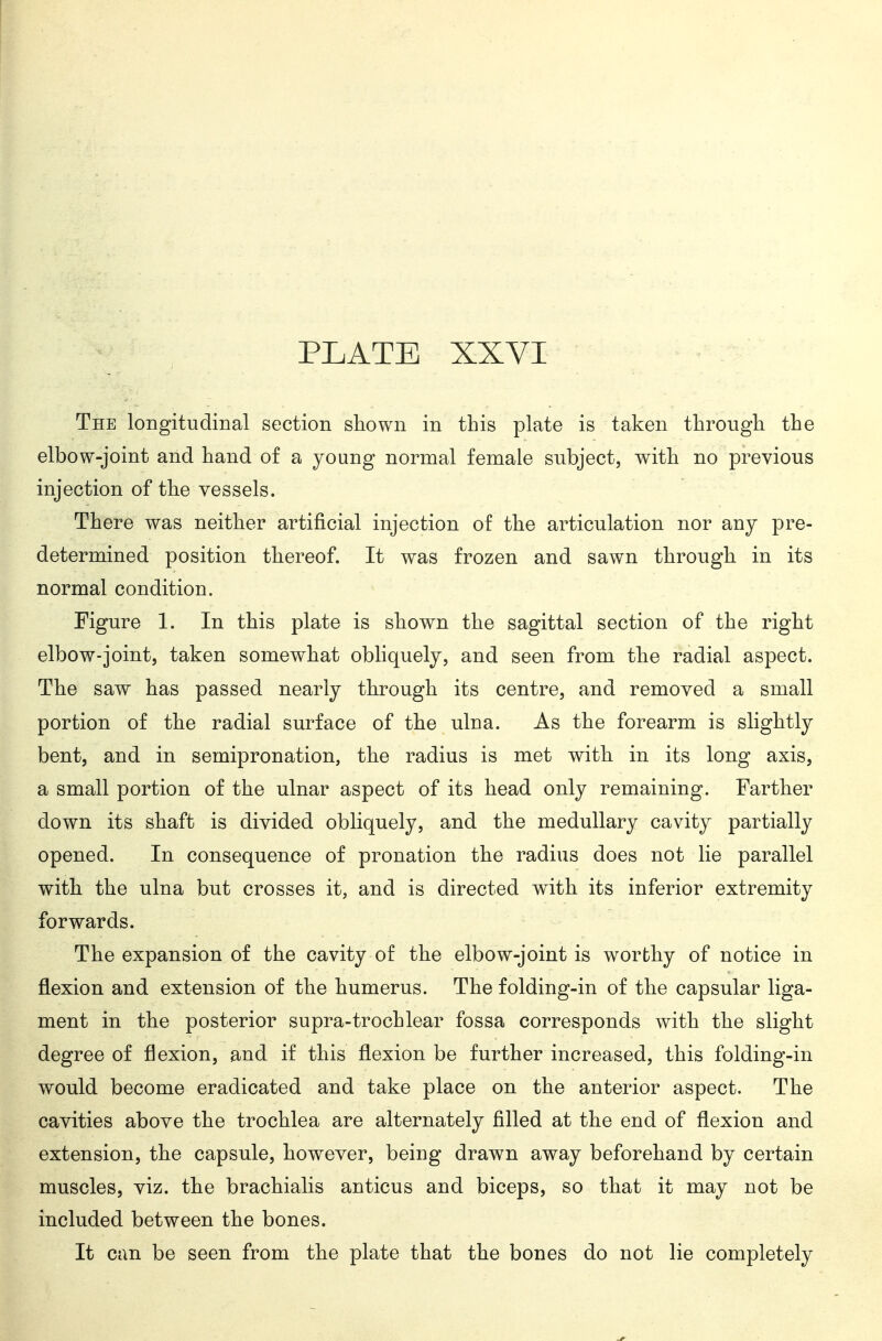 The longitudinal section stiown in this plate is taken througli the elbow-joint and hand of a young normal female subject, with no previous injection of the vessels. There was neither artificial injection of the articulation nor any pre- determined position thereof. It was frozen and sawn through in its normal condition. Figure 1. In this plate is shown the sagittal section of the right elbow-joint, taken somewhat obliquely, and seen from the radial aspect. The saw has passed nearly through its centre, and removed a small portion of the radial surface of the ulna. As the forearm is slightly bent, and in semipronation, the radius is met with in its long axis, a small portion of the ulnar aspect of its head only remaining. Farther down its shaft is divided obliquely, and the medullary cavity partially opened. In consequence of pronation the radius does not lie parallel with the ulna but crosses it, and is directed with its inferior extremity forwards. The expansion of the cavity of the elbow-joint is worthy of notice in flexion and extension of the humerus. The folding-in of the capsular liga- ment in the posterior supra-trochlear fossa corresponds with the slight degree of flexion, and if this flexion be further increased, this folding-in would become eradicated and take place on the anterior aspect. The cavities above the trochlea are alternately filled at the end of flexion and extension, the capsule, however, being drawn away beforehand by certain muscles, viz. the brachialis anticus and biceps, so that it may not be included between the bones. It can be seen from the plate that the bones do not lie completely