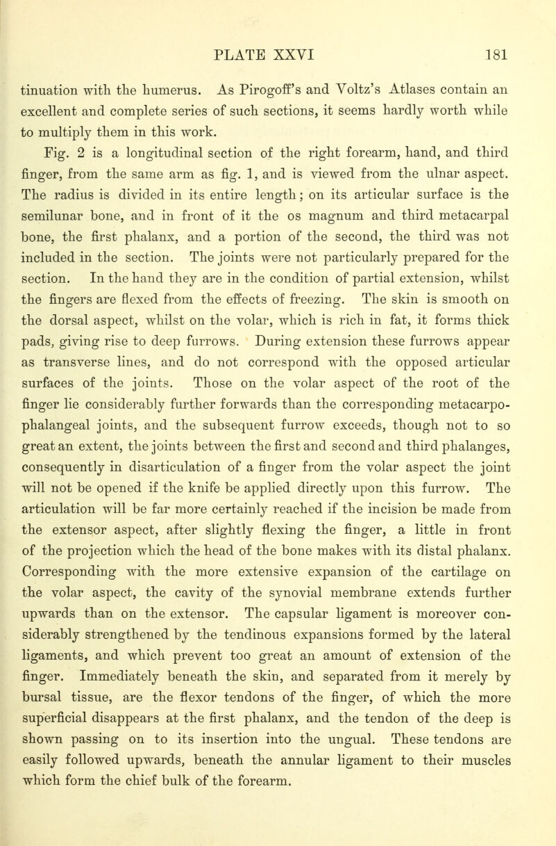 tinuation witli the humerus. As Pirogoff's and Yoltz's Atlases contain an excellent and complete series of such sections, it seems hardly worth while to multiply them in this work. Fig. 2 is a longitudinal section of the right forearm, hand, and third finger, from the same arm as fig. 1, and is viewed from the ulnar aspect. The radius is divided in its entire length; on its articular surface is the semilunar bone, and in front of it the os magnum and third metacarpal bone, the first phalanx, and a portion of the second, the third was not included in the section. The joints were not particularly prepared for the section. In the hand they are in the condition of partial extension, whilst the fingers are flexed from the effects of freezing. The skin is smooth on the dorsal aspect, whilst on the volar, which is rich in fat, it forms thick pads, giving rise to deep furrows. During extension these furrows appear as transverse lines, and do not correspond with the opposed articular surfaces of the joints. Those on the volar aspect of the root of the finger lie considerably further forwards than the corresponding metacarpo- phalangeal joints, and the subsequent furrow exceeds, though not to so great an extent, the joints between thefirsfcand second and third phalanges, consequently in disarticulation of a finger from the volar aspect the joint will not be opened if the knife be applied directly upon this furrow. The articulation will be far more certainly reached if the incision be made from the extensor aspect, after slightly flexing the finger, a little in front of the projection which the head of the bone makes with its distal phalanx. Corresponding with the more extensive expansion of the cartilage on the volar aspect, the cavity of the synovial membrane extends further upwards than on the extensor. The capsular ligament is moreover con- siderably strengthened by the tendinous expansions formed by the lateral ligaments, and which prevent too great an amount of extension of the finger. Immediately beneath the skin, and separated from it merely by bursal tissue, are the flexor tendons of the finger, of which the more superficial disappears at the first phalanx, and the tendon of the deep is shown passing on to its insertion into the ungual. These tendons are easily followed upwards, beneath the annular ligament to their muscles which form the chief bulk of the forearm.
