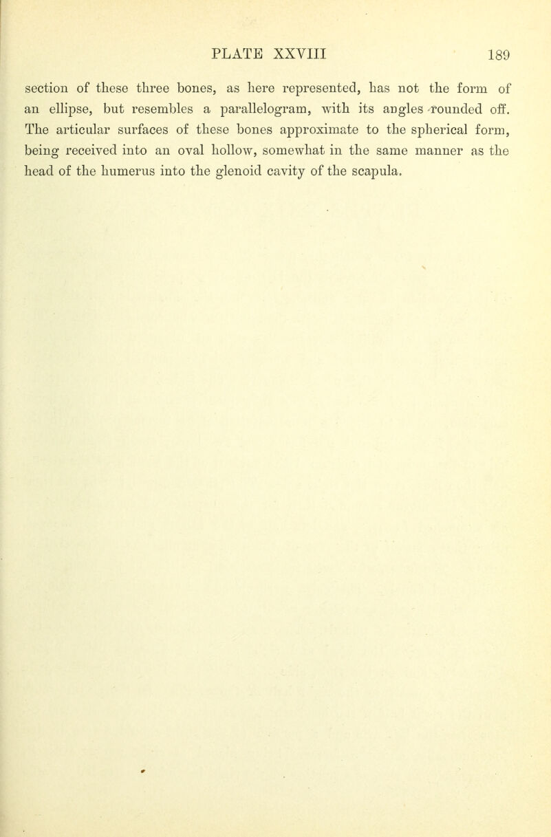 PLATE XXVIII 189 section of these three bones, as here represented, has not the form of an ellipse, but resembles a parallelogram, with its angles rounded off. The articular surfaces of these bones approximate to the spherical form, being received into an oval hollow, somewhat in the same manner as the head of the humerus into the glenoid cavity of the scapula.
