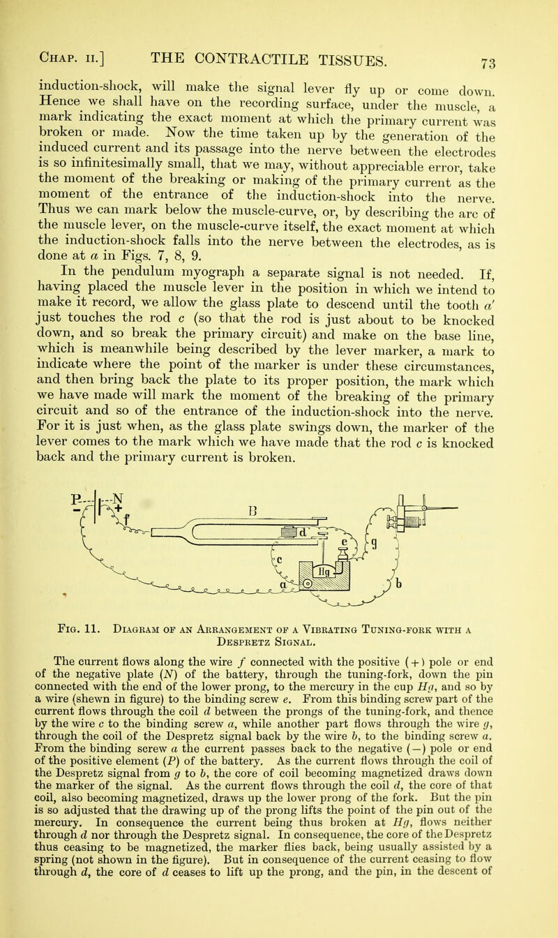 induction-shock, will make the signal lever fly up or come down. Hence we shall have on the recording surface, under the muscle, a mark indicating the exact moment at which the primary current was broken or made. Now the time taken up by the generation of the induced current and its passage into the nerve between the electrodes is so infinitesimally small, that we may, without appreciable error, take the moment of the breaking or making of the primary current as the moment of the entrance of the induction-shock into the nerve. Thus we can mark below the muscle-curve, or, by describing the arc of the muscle lever, on the muscle-curve itself, the exact moment at which the induction-shock falls into the nerve between the electrodes, as is done at a in Figs. 7, 8, 9. In the pendulum myograph a separate signal is not needed. If, having placed the muscle lever in the position in which we intend to make it record, we allow the glass plate to descend until the tooth a just touches the rod c (so that the rod is just about to be knocked down, and so break the primary circuit) and make on the base line, which is meanwhile being described by the lever marker, a mark to indicate where the point of the marker is under these circumstances, and then bring back the plate to its proper position, the mark which we have made will mark the moment of the breaking of the primary circuit and so of the entrance of the induction-shock into the nerve. For it is just when, as the glass plate swings down, the marker of the lever comes to the mark which we have made that the rod c is knocked back and the primary current is broken. Fig. 11. Diagram of an Arrangement of a Vibrating Tuning-fork with a Despretz Signal. The current flows along the wire / connected with the positive (-f-) pole or end of the negative plate (iV) of the battery, through the tuning-fork, down the pin connected with the end of the lower prong, to the mercury in the cup JIq, and so by a wire (shewn in figure) to the binding screw e. From this binding screw part of the current flows through the coil d between the prongs of the tuning-fork, and thence by the wire c to the binding screw a, while another part flows through the wire ^, through the coil of the Despretz signal back by the wire 6, to the binding screw a. From the binding screw a the current passes back to the negative ( —) pole or end of the positive element (P) of the battery. As the current flows through the coil of the Despretz signal from g to 6, the core of coil becoming magnetized draws down the marker of the signal. As the current flows through the coil d, the core of that coil, also becoming magnetized, draws up the lower prong of the fork. But the pin is so adjusted that the drawing up of the prong lifts the point of the pin out of the mercury. In consequence the current being thus broken at Hg, flows neither through d nor through the Despretz signal. In consequence, the core of the Despretz thus ceasing to be magnetized, the marker flies back, being usually assisted by a spring (not shown in the figure). But in consequence of the current ceasing to flow through the core of d ceases to lift up the prong, and the pin, in the descent of