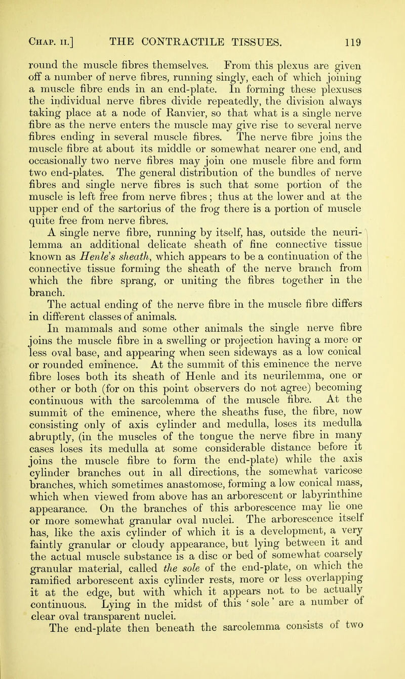 round the muscle fibres themselves. From this plexus are given off a number of nerve fibres, running singly, each of which joining a muscle fibre ends in an end-plate. In forming these plexuses the individual nerve fibres divide repeatedly, the division always taking place at a node of Ranvier, so that what is a single nerve fibre as the nerve enters the muscle may give rise to several nerve fibres ending in several muscle fibres. The nerve fibre joins the muscle fibre at about its middle or somewhat nearer one end, and occasionally two nerve fibres may join one muscle fibre and form two end-plates. The general distribution of the bandies of nerve fibres and single nerve fibres is such that some portion of the muscle is left free from nerve fibres; thus at the lower and at the upper end of the sartorius of the frog there is a portion of muscle quite free from nerve fibres. A single nerve fibre, running by itself, has, outside the neuri- lemma an additional delicate sheath of fine connective tissue i known as Henles sheath, which appears to be a continuation of the connective tissue forming the sheath of the nerve branch from which the fibre sprang, or uniting the fibres together in the branch. The actual ending of the nerve fibre in the muscle fibre differs in different classes of animals. In mammals and some other animals the single nerve fibre joins the muscle fibre in a swelling or projection having a more or less oval base, and appearing when seen sideways as a low conical or rounded eminence. At the summit of this eminence the nerve fibre loses both its sheath of Henle and its neurilemma, one or other or both (for on this point observers do not agree) becoming continuous wdth the sarcolemma of the muscle fibre. At the summit of the eminence, where the sheaths fuse, the fibre, now consisting only of axis cylinder and medulla, loses its medulla abruptly, (in the muscles of the toDgue the nerve fibre in many cases loses its medulla at some considerable distance before it joins the muscle fibre to form the end-plate) while the axis cylinder branches out in all directions, the somewhat varicose branches, which sometimes anastomose, forming a low conical mass, which when viewed from above has an arborescent or labyrinthine appearance. On the branches of this arborescence may lie one or more somewhat granular oval nuclei. The arborescence itself has, like the axis cylinder of which it is a development, a very faintly granular or cloudy appearance, but lying between it and the actual muscle substance is a disc or bed of somewhat coarsely granular material, called the sole of the end-plate, on which the ramified arborescent axis cylinder rests, more or less overlappmg it at the edge, but with which it appears not to be actually continuous. Lying in the midst of this ' sole' are a number of clear oval transparent nuclei. The end-plate then beneath the sarcolemma consists of two