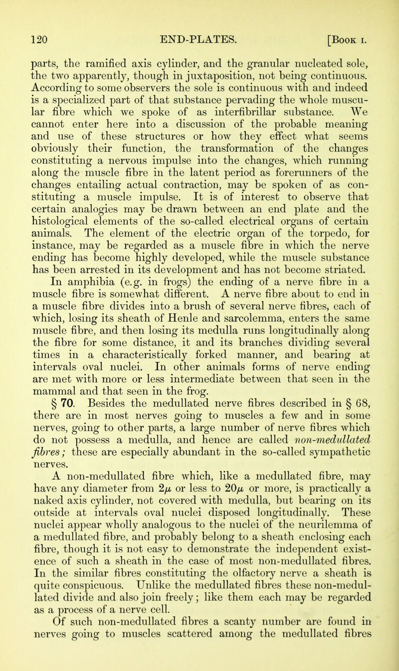parts, the ramified axis cylinder, and the granular nucleated sole, the two apparently, though in juxtaposition, not being continuous. According to some observers the sole is continuous with and indeed is a specialized part of that substance pervading the whole muscu- lar fibre which we spoke of as interfibrillar substance. We cannot enter here into a discussion of the probable meaning and use of these structures or how they effect what seems obviously their function, the transformation of the changes constituting a nervous impulse into the changes, which running along the muscle fibre in the latent period as forerunners of the changes entailing actual contraction, may be spoken of as con- stituting a muscle impulse. It is of interest to observe that certain analogies may be drawn between an end plate and the histological elements of the so-called electrical organs of certain animals. The element of the electric organ of the torpedo, for instance, may be regarded as a muscle fibre in which the nerve ending has become highly developed, while the muscle substance has been arrested in its development and has not become striated. In amphibia (e.g. in frogs) the ending of a nerve fibre in a muscle fibre is somewhat different. A nerve fibre about to end in a muscle fibre divides into a brush of several nerve fibres, each of which, losing its sheath of Henle and sarcolemma, enters the same muscle fibre, and then losing its medulla runs longitudinally along the fibre for some distance, it and its branches dividing several times in a characteristically forked manner, and bearing at intervals oval nuclei. In other animals forms of nerve ending are met with more or less intermediate between that seen in the mammal and that seen in the frog. § 70. Besides the medullated nerve fibres described in § 68, there are in most nerves going to muscles a few and in some nerves, going to other parts, a large number of nerve fibres which do not possess a medulla, and hence are called non-medullated fibres; these are especially abundant in the so-called sympathetic nerves. A non-medullated fibre which, like a medullated fibre, may have any diameter from Ifx or less to 20//, or more, is practically a naked axis cylinder, not covered with medulla, but bearing on its outside at intervals oval nuclei disposed longitudinally. These nuclei appear wholly analogous to the nuclei of the neurilemma of a medullated fibre, and probably belong to a sheath enclosing each fibre, though it is not easy to demonstrate the independent exist- ence of such a sheath in the case of most non-medullated fibres. In the similar fibres constituting the olfactory nerve a sheath is quite conspicuous. Unlike the medullated fibres these non-medul- lated divide and also join freely; like them each may be regarded as a process of a nerve cell. Of such non-medullated fibres a scanty number are found in nerves going to muscles scattered among the medullated fibres