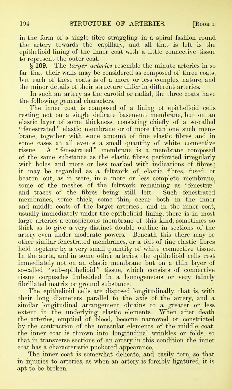 in the form of a single fibre straggling in a spiral fashion round the artery towards the capillary, and all that is left is the epithelioid lining of the inner coat with a little connective tissue to represent the outer coat. § 109. The larger arteries resemble the minute arteries in so far that their walls may be considered as composed of three coats, but each of these coats is of a more or less complex nature, and the minor details of their structure differ in different arteries. In such an artery as the carotid or radial, the three coats have the following general characters. The inner coat is composed of a lining of epithelioid cells resting not on a single delicate basement membrane, but on an elastic layer of some thickness, consisting chiefly of a so-called  fenestrated elastic membrane or of more than one such mem- brane, together with some amount of fine elastic fibres and in some cases at all events a small quantity of white connective tissue. A  fenestrated membrane is a membrane composed of the same substance as the elastic fibres, perforated irregularly with holes, and more or less marked with indications of fibres; it may be regarded as a feltwork of elastic fibres, fused or beaten out, as it were, in a more or less complete membrane, some of the meshes of the feltwork remaining as ' fenestrge' and traces of the fibres being still left. Such fenestrated membranes, some thick, some thin, occur both in the inner and middle coats of the larger arteries; and in the inner coat, usually immediately under the epithelioid lining, there is in most large arteries a conspicuous membrane of this kind, sometimes so thick as to give a very distinct double outline in sections of the artery even under moderate powers. Beneath this there may be other similar fenestrated membranes, or a felt of fine elastic fibres held together by a very small quantity of white connective tissue. In the aorta, and in some other arteries, the epithelioid cells rest immediately not on an elastic membrane but on a thin layer of so-called  sub-epithelioid tissue, which consists of connective tissue corpuscles imbedded in a homogeneous or very faintly fibrillated matrix or ground substance. The epithelioid cells are disposed longitudinally, that is, with their long diameters parallel to the axis of the artery, and a similar longitudinal arrangement obtains to a greater or less extent in the underlying elastic elements. When after death the arteries, emptied of blood, become narrowed or constricted by the contraction of the muscular elements of the middle coat, the inner coat is thrown into longitudinal wrinkles or folds, so that in transverse sections of an artery in this condition the inner coat has a characteristic puckered appearance. The inner coat is somewhat delicate, and easily torn, so that in injuries to arteries, as when an artery is forcibly ligatured, it is apt to be broken.