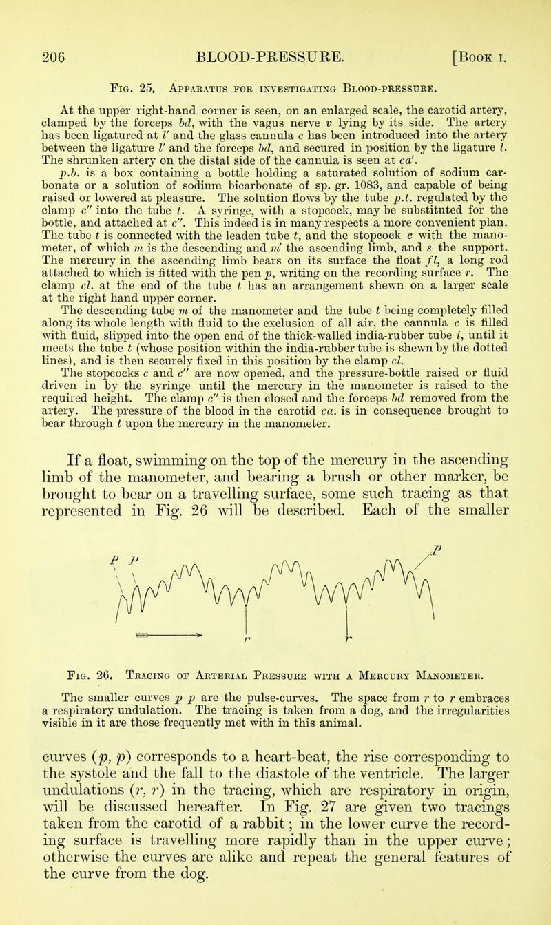 Fig. 25. Apparatus for investigating Blood-pressure. At the upper right-hand corner is seen, on an enlarged scale, the carotid artery, clamped by the forceps hd, with the vagus nerve v lying by its side. The artery has been ligatured at // and the glass cannula c has been introduced into the artery between the ligature I' and the forceps hd, and secured in position by the ligature I. The shrunken artery on the distal side of the cannula is seen at ca'. p.h. is a box containing a bottle holding a saturated solution of sodium car- bonate or a solution of sodium bicarbonate of sp. gr. 1083, and capable of being raised or lowered at pleasure. The solution flows by the tube p.t. regulated by the clamp c into the tube t. A syringe, with a stopcock, may be substituted for the bottle, and attached at c. This indeed is in many respects a more convenient plan. The tube t is connected with the leaden tube i, and the stopcock c with the mano- meter, of which m is the descending and m the ascending limb, and s the support. The mercury in the ascending limb bears on its surface the float a long rod attached to which is fitted with the pen p, writing on the recording surface r. The clamp cl. at the end of the tube t has an arrangement shewn on a larger scale at the right hand upper corner. The descending tube m of the manometer and the tube t being completely filled along its whole length with fluid to the exclusion of all air, the cannula c is filled with fluid, slipped into the open end of the thick-walled india-rubber tube i, until it meets the tube t (whose position within the india-rubber tube is shewn by the dotted lines), and is then securely fixed in this position by the clamp cl. The stopcocks c and c are now opened, and the pressure-bottle raised or fluid driven in by the syringe until the mercury in the manometer is raised to the required height. The clamp c is then closed and the forceps hd removed from the artery. The pressure of the blood in the carotid ca. is in consequence brought to bear through t upon the mercury in the manometer. If a float, swimming on the top of the mercury in the ascending limb of the manometer, and bearing a brush or other marker, be brought to bear on a travelling surface, some such tracing as that represented in Fig. 26 will be described. Each of the smaller Fig. 26. Tracing of Arterial Pressure with a Mercury Manometer. The smaller curves p p are the pulse-curves. The space from r to r embraces a respiratory undulation. The tracing is taken from a dog, and the irregularities visible in it are those frequently met with in this animal. curves {p, p) corresponds to a heart-beat, the rise corresponding to the systole and the fall to the diastole of the ventricle. The larger undulations (r, r) in the tracing, which are respiratory in origin, will be discussed hereafter. In Fig. 27 are given two tracings taken from the carotid of a rabbit; in the lower curve the record- ing surface is travelling more rapidly than in the upper curve; otherwise the curves are alike and repeat the general features of the curve from the dog.