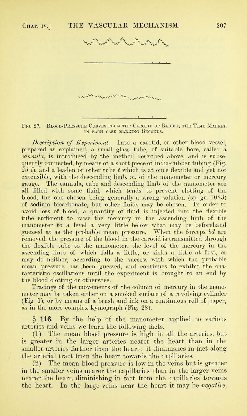 Fig. 27. Blood-Pressure Curves prom the Carotid of Eabbit, the Time Marker in each case marking seconds. Description of Experiment. Into a carotid, or other blood vessel, prepared as explained, a small glass tube, of suitable bore, called a cannula^ is introduced by the method described above, and is subse- quently connected, by means of a short piece of india-rubber tubing (Fig. 25 i), and a leaden or other tube t which is at once flexible and yet not extensible, with the descending limb, m, of the manometer or mercury gauge. The cannula, tube and descending limb of the manometer are all filled with some fluid, which tends to prevent clotting of the blood, the one chosen being generally a strong solution (sp. gr. 1083) of sodium bicarbonate, but other fluids may be chosen. In order to avoid loss of blood, a quantity of fluid is injected into the flexible tube sufficient to raise the mercury in the ascending limb of tlie manometer to a level a very little below what may be beforehand guessed at as the probable mean pressure. When the forceps hd are removed, the pressure of the blood in the carotid is transmitted through the flexible tube to the manometer, the level of the mercury in the ascending limb of which falls a little, or sinks a little at first, or may do neither, according to the success with which the probable mean pressure has been guessed, and continues to exhibit the cha- racteristic oscillations until the experiment is brought to an end by the blood clotting or otherwise. Tracings of the movements of the column of mercury in the mano- meter may be taken either on a smoked surface of a revolving cylinder (Fig. 1), or by means of a brush and ink on a continuous roll of paper, as in the more complex kymograph (Fig. 28). § 116. By the help of the manometer applied to various arteries and veins we learn the following facts. (1) The mean blood pressure is high in all the arteries, but is greater in the larger arteries nearer the heart than in the smaller arteries farther from the heart; it diminishes in fact along the arterial tract from the heart towards the capillaries. (2) The mean blood pressure is low in the veins but is greater in the smaller veins nearer the capillaries than in the larger veins nearer the heart, diminishing in fact from the capillaries towards the heart. In the large veins near the heart it may be negative.