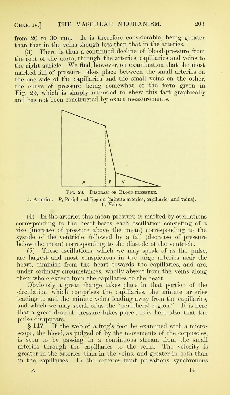 from 20 to 30 mm. It is therefore considerable, being greater than that in the veins though less than that in the arteries. (3) There is thus a continued decline of blood-pressure from the root of the aorta, through the arteries, capillaries and veins to the right auricle. We find, however, on examination that the most marked fall of pressure takes place between the small arteries on the one side of the capillaries and the small veins on the other, the curve of pressure being somewhat of the form given in Fig. 29, which is simply intended to shew this fact graphically -and has not been constructed by exact measurements. Fig. 29. Diagbam of Blood-pbessuke. A, Arteries. P, Peripheral Kegion (minute arteries, capillaries and veins). V, Veins. (4) In the arteries this mean pressure is marked by oscillations corresponding to the heart-beats, each oscillation consisting of a rise (increase of pressure above the mean) corresponding to the systole of the ventricle, followed by a fall (decrease of pressure below the mean) corresponding to the diastole of the ventricle. (5) These oscillations, which we may speak of as the pulse, are largest and most conspicuous in the large arteries near the heart, diminish from the heart towards the capillaries, and are, under ordinary circumstances, wholly absent from the veins along their whole extent from the capillaries to the heart. Obviously a great change takes place in that portion of the circulation which comprises the capillaries, the minute arteries leading to and the minute veins leading away from the capillaries, and which we may speak of as the peripheral region. It is here that a great drop of pressure takes place; it is here also that the pulse disappears. § 117. If the web of a frog's foot be examined with a micro- scope, the blood, as judged of by the movements of the corpuscles, is seen to be passing in a continuous stream from the small arteries through the capillaries to the veins. The velocity is greater in the arteries than in the veins, and greater in both than in the capillaries. In the arteries faint pulsations, synchronous F. 14