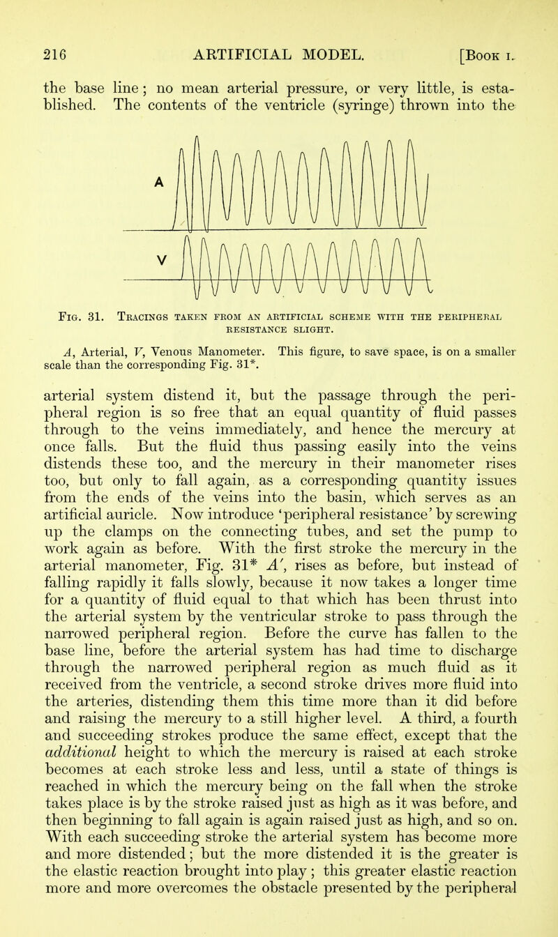 the base line; no mean ai'terial pressure, or very little, is esta- blished. The contents of the ventricle (sjrringe) thrown into the Fig. 31. Tracings taken from an artificial scheme with the peripheral resistance slight. A, Arterial, V, Venous Manometer. This figure, to save space, is on a smaller scale than the corresponding Fig. 31*. arterial system distend it, but the passage through the peri- pheral region is so free that an equal quantity of fluid passes through to the veins immediately, and hence the mercury at once falls. But the fluid thus passing easily into the veins distends these too, and the mercury in their manometer rises too, but only to fall again, as a corresponding quantity issues from the ends of the veins into the basin, which serves as an artificial auricle. Now introduce 'peripheral resistance' by screwing up the clamps on the connecting tubes, and set the pump to work again as before. With the first stroke the mercury in the arterial manometer. Fig. 31* A\ rises as before, but instead of falling rapidly it falls slowly, because it now takes a longer time for a quantity of fluid equal to that which has been thrust into the arterial system by the ventricular stroke to pass through the narrowed peripheral region. Before the curve has fallen to the base line, before the arterial system has had time to discharge through the narrowed peripheral region as much fluid as it received from the ventricle, a second stroke drives more fluid into the arteries, distending them this time more than it did before and raising the mercury to a still higher level. A third, a fourth and succeeding strokes produce the same effect, except that the additional height to which the mercury is raised at each stroke becomes at each stroke less and less, until a state of things is reached in which the mercury being on the fall when the stroke takes place is by the stroke raised jiist as high as it was before, and then beginning to fall again is again raised just as high, and so on. With each succeeding stroke the arterial system has become more and more distended; but the more distended it is the greater is the elastic reaction brought into play; this greater elastic reaction more and more overcomes the obstacle presented by the peripheral