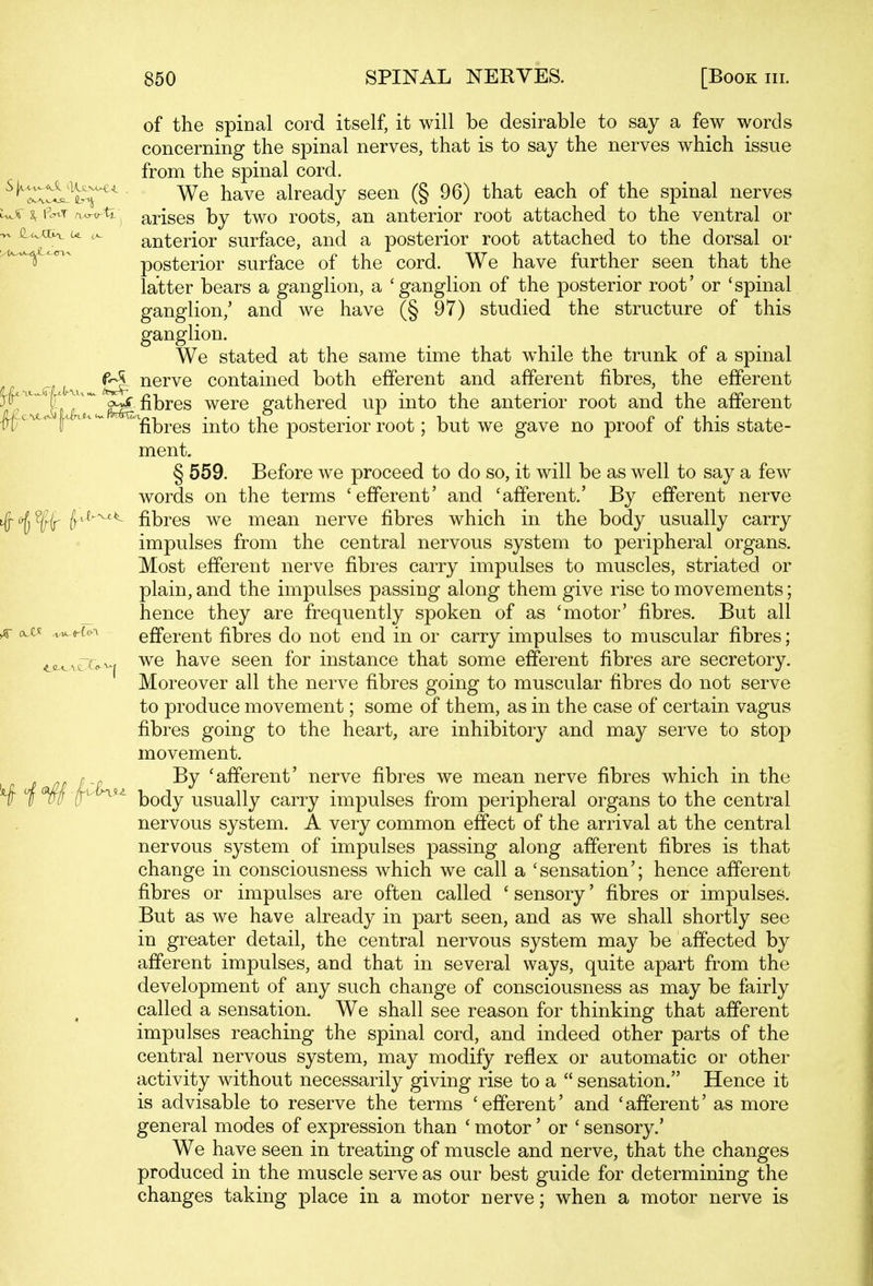 of the spinal cord itself, it will be desirable to say a few words concerning the spinal nerves, that is to say the nerves which issue from the spinal cord. ^^e^X^^i^^^ We have already seen (§ 96) that each of the spinal nerves u.^ % Pc^T a.^ti arises by two roots, an anterior root attached to the ventral or ^ dc^o^n. u anterior surface, and a posterior root attached to the dorsal or ^^^^^ posterior surface of the cord. We have further seen that the latter bears a ganglion, a 'ganglion of the posterior root' or 'spinal ganglion,' and we have (§ 97) studied the structure of this ganglion. We stated at the same time that while the trunk of a spinal ^ nerve contained both efferent and afferent fibres, the efferent ^ ' 5f!X'r ^^^^^^ were gathered up into the anterior root and the afferent tt^ ^ r ^fibres into the posterior root; but we gave no proof of this state- ment. § 559. Before we proceed to do so, it will be as well to say a few words on the terms 'efferent' and 'afferent.' By efferent nerve {r'^'^^ fibres we mean nerve fibres which in the body usually carry impulses from the central nervous system to peripheral organs. Most efferent nerve fibres carry impulses to muscles, striated or plain, and the impulses passing along them give rise to movements; hence they are frequently spoken of as 'motor' fibres. But all ^ o.x« ^<fUy'\ efferent fibres do not end in or carry impulses to muscular fibres; <jL^xCi<y^ we have seen for instance that some efferent fibres are secretory. Moreover all the nerve fibres going to muscular fibres do not serve to produce movement; some of them, as in the case of certain vagus fibres going to the heart, are inhibitory and may serve to stop movement. ^ 0 nn f'-c 'afferent' nerve fibres we mean nerve fibres which in the H ioU'o body usually carry impulses from peripheral organs to the central nervous system. A very common effect of the arrival at the central nervous system of impulses passing along afferent fibres is that change in consciousness which we call a 'sensation'; hence afferent fibres or impulses are often called ' sensory' fibres or impulses. But as we have already in part seen, and as we shall shortly see in greater detail, the central nervous system may be affected by afferent impulses, and that in several ways, quite apart from the development of any such change of consciousness as may be fairly called a sensation. We shall see reason for thinking that afferent impulses reaching the spinal cord, and indeed other parts of the central nervous system, may modify reflex or automatic or other activity without necessarily giving rise to a  sensation. Hence it is advisable to reserve the terms 'efferent' and 'afferent' as more general modes of expression than ' motor' or ' sensory.' We have seen in treating of muscle and nerve, that the changes produced in the muscle serve as our best guide for determining the changes taking place in a motor nerve; when a motor nerve is