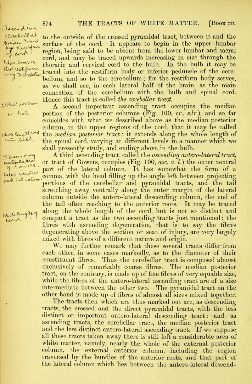 outside of the crossed pyramidal tract, between it and the ^^^^^''^^^W^ surface of the cord. It appears to begin in the upper lumbar T^J^jC^^ region, being said to be absent from the lower lumbar and sacral cord, and may be traced upwards increasing in size through the ' H^i ^^^A^ ^j^Q^-acic and cervical cord to the bulb. In the bulb it may be I {^^^^T^^^^traced into the restiform body or inferior peduncle of the cere- I'! bellum, and so to the cerebellum ; for the restiform body serves, as we shall see, in each lateral half of the brain, as the main connection of the cerebellum with the bulb and spinal cord. ^ ^ Hence this tract is called the cerebellar tract ,gi\Vx<. ^ second important ascending tract occupies the median [|| ^h^A.'L . portion of the posterior columns (Fig. 100, cr., 5.Zr.), and so far coincides with what we described above as the median posterior column, in the upper regions of the cord, that it may be called i^lU^U^'^'^^ the median posterior tract; it extends along the whole length of I Jr^AiU- ^YiQ spiual cord, varying at different levels in a manner which we I shall presently study, and ending above in the bulb. ■13) (M^^^^^ ^ third ascending tract, called the ascending antero-lateral tract, ^'^^^'^Xj tract of Gowers, occupies (Fig. 100, asc. a. I.) the outer ventral (;^>icrvv-^ J part of the lateral column. It has somewhat the form of a ^-^^^^^^^^^^^^^^ comma, with the head filling up the angle left between projecting ^ portions of the cerebellar and pyramidal tracts, and the tail stretching away ventrally along the outer margin of the lateral column outside the antero-lateral descending column, the end of the tail often reaching to the anterior roots. It may be traced ^^^^u^ along the whole length of the cord, but is not so distinct and ^ *  compact a tract as the two ascending tracts just mentioned; the fibres with ascending degeneration, that is to say the fibres degenerating above the section or seat of injury, are very largely mixed with fibres of a different nature and origin. We may further remark that these several tracts differ from each other, in some cases markedly, as to the diameter of their constituent fibres. Thus the cerebellar tract is composed almost exclusively of remarkably coarse fibres. The median posterior tract, on the contrary, is made up of fine fibres of very equable size, while the fibi-es of the antero-lateral ascending tract are of a size intermediate between the other two. The pyramidal tract on the other hand is made up of fibres of almost all sizes mixed together. The tracts then which are thus marked out are, as descending tracts, the crossed and the direct pyramidal tracts, with the less distinct or important antero-lateral descending tract: and, as ascending tracts, the cerebellar tract, the median posterior tract and the less distinct antero-lateral ascending tract. If we suppose all these tracts taken away there is still left a considerable area of white matter, namely, nearly the whole of the external posterior column, the external anterior column, including the region traversed by the bundles of the anterior roots, and that part of the lateral column which lies between the antero-lateral descend-