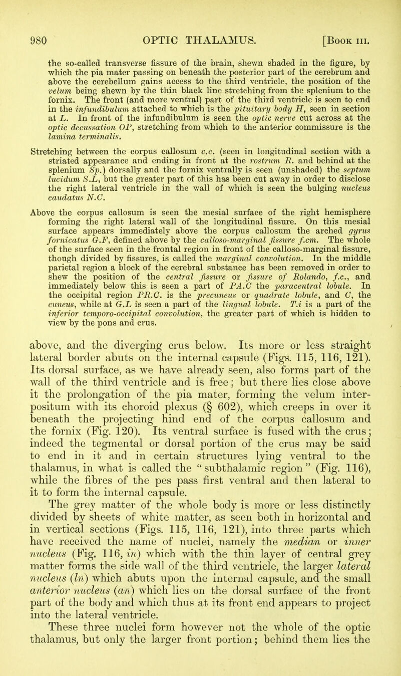 the so-called transverse fissure of the brain, shewn shaded in the figure, by which the pia mater passing on beneath the posterior part of the cerebrum and above the cerebellum gains access to the third ventricle, the position of the velum being shewn by the thin black line stretching from the splenium to the fornix. The front (and more ventral) part of the third ventricle is seen to end in the infundibulum attached to which is the pituitary body H, seen in section at L. In front of the infundibulum is seen the optic nerve cut across at the optic decussation OP, stretching from which to the anterior commissure is the lamina terminalis. Stretching between the corpus callosum c.c. (seen in longitudinal section with a striated appearance and ending in front at the rostrum R. and behind at the splenium Sp.) dorsally and the fornix ventrally is seen (unshaded) the septum lucidum S.L, but the greater part of this has been cut away in order to disclose the right lateral ventricle in the wall of which is seen the bulging nucleus caudatus N.C. Above the corpus callosum is seen the mesial surface of the right hemisphere forming the right lateral wall of the longitudinal fissure. On this mesial surface appears immediately above the corpus callosum the arched gyrus fornicatus G.F, defined above by the calloso-marginal fissure f.cm. The whole of the surface seen in the frontal region in front of the calloso-marginal fissure, though divided by fissures, is called the marginal convolution. In the middle parietal region a block of the cerebral substance has been removed in order to shew the position of the central fissure or fissure of Rolando, fx., and immediately below this is seen a part of PA.G the paracentral lobule. In the occipital region PR.C. is the precuneus or quadrate lobule, and C, the cuneus, while at G.L is seen a part of the lingual lobule. T.i is a part of the inferior temporo-occipital convolution, the greater part of which is hidden to view by the pons and crus. above, and the diverging cms below. Its more or less straight lateral border abuts on the internal capsule (Figs. 115, 116, 121). Its dorsal surface, as we have already seen, also forms part of the wall of the third ventricle and is free; but there lies close above it the prolongation of the pia mater, forming the velum inter- positum with its choroid plexus (§ 602), which creeps in over it beneath the projecting hind end of the corpus callosum and the fornix (Fig. 120). Its ventral surface is fused with the crus; indeed the tegmental or dorsal portion of the crus may be said to end in it and in certain structures lying ventral to the thalamus, in what is called the  subthalamic region  (Fig. 116), while the fibres of the pes pass first ventral and then lateral to it to form the internal capsule. The grey matter of the whole body is more or less distinctly divided by sheets of white matter, as seen both in horizontal and in vertical sections (Figs. 115, 116, 121), into three parts which have received the name of nuclei, namely the median or inner nucleus (Fig. 116, in) which with the thin layer of central grey matter forms the side wall of the third ventricle, the larger lateral nucleus (In) which abuts upon the internal capsule, and the small anterior nucleus (an) which lies on the dorsal surface of the front part of the body and which thus at its front end appears to project into the lateral ventricle. These three nuclei form however not the whole of the optic thalamus, but only the larger front portion; behind them lies the