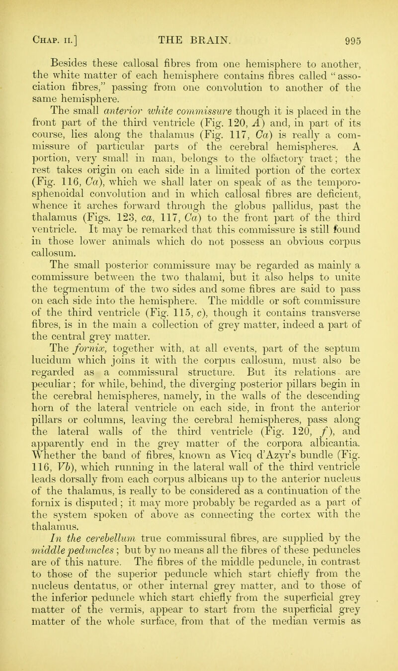 Besides these callosal fibres from one hemisphere to another, the white matter of each hemisphere contains fibres called  asso- ciation fibres, passing from one convolution to another of the same hemisphere. The small anterior white commissure though it is placed in the front part of the third ventricle (Fig. 120, ^) and, in part of its course, lies along the thalamus (Fig. 117, Ga) is really a com- missure of particular parts of the cerebral hemispheres. A portion, very small in man, belongs to the olfactory tract; the rest takes origin on each side in a limited portion of the cortex (Fig. 116, Ca), which we shall later on speak of as the temporo- sphenoidal convolution and in which callosal fibres are deficient, whence it arches forward through the globus pallidus, past the thalamus (Figs. 123, ca, 117, Ca) to the front part of the third ventricle. It may be remarked that this commissure is still found in those lower animals which do not possess an obvious corpus callosum. The small posterior commissure may be regarded as mainly a commissure between the two thalami, but it also helps to unite the tegmentum of the two sides and some fibres are said to pass on each side into the hemisphere. The middle or soft commissure of the third ventricle (Fig. 115, c), though it contains transverse fibres, is in the main a collection of grey matter, indeed a j)art of the central grey matter. The fornix, together with, at all events, part of the septum lucidum which joins it with the corpus callosum, must also be regarded as a commissural structure. But its relations are peculiar; for while, behind, the diverging posterior pillars begin in the cerebral hemispheres, namely, in the walls of the descending horn of the lateral ventricle on each side, in front the anterior pillars or columns, leaving the cerebral hemispheres, pass along the lateral walls of the third ventricle (Fig. 120, /), and apparently end in the grey matter of th-e corpora albicantia. Whether the band of fibres, known as Yicq d'Azyr's bundle (Fig. 116, F6), which running in the lateral wall of the third ventricle leads dorsally from each corpus albicans up to the anterior nucleus of the thalamus, is really to be considered as a continuation of the fornix is disputed; it may more probably be regarded as a part of the system spoken of above as connecting the cortex with the thalamus. In the cerebellum true commissural fibres, are supplied by the middle peduncles; but by no means all the fibres of these peduncles are of this nature. The fibres of the middle peduncle, in contrast to those of the superior peduncle which start chiefly from the nucleus dentatus, or other internal grey matter, and to those of the inferior peduncle which start chiefly from the superficial grey matter of the vermis, appear to start from the superficial grey matter of the whole surface, from that of the median vermis as