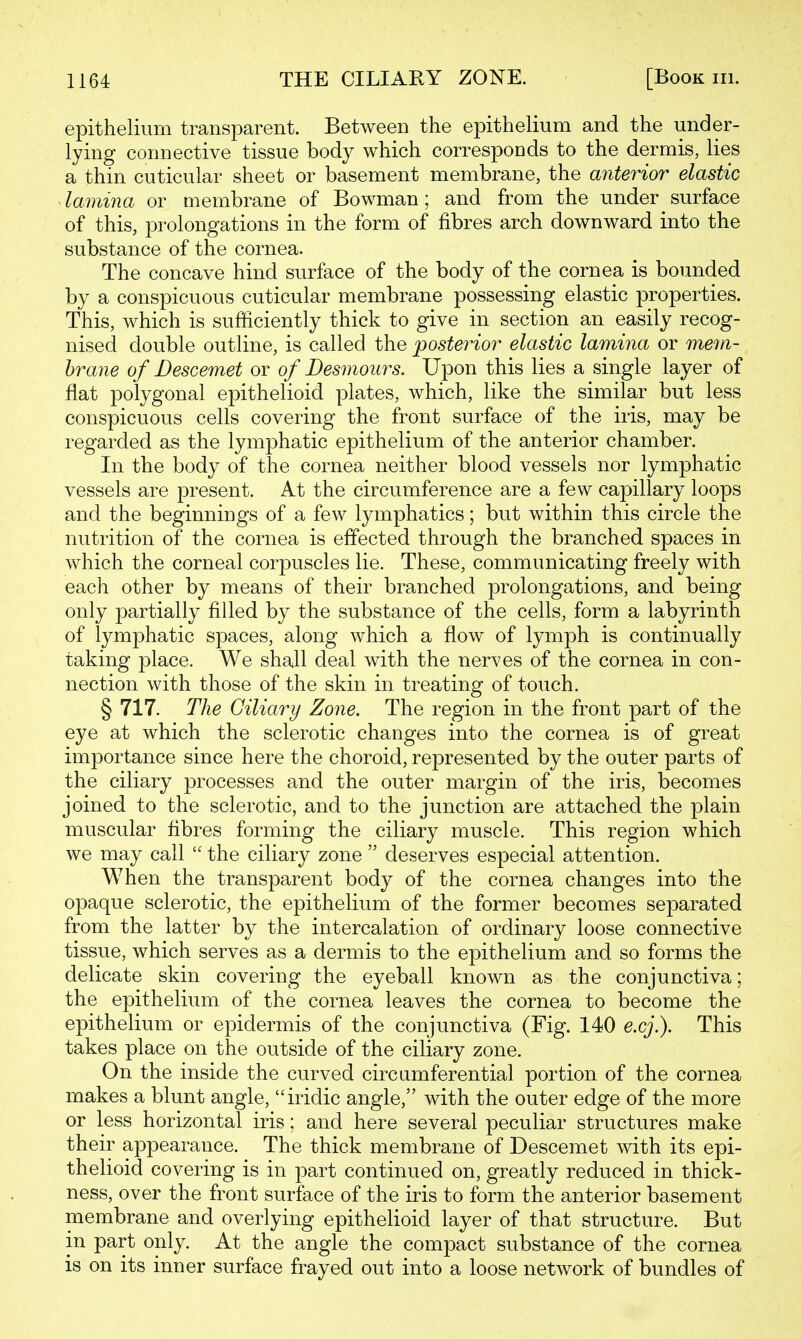 epithelium transparent. Between the epithelium and the under- lying connective tissue body which corresponds to the dermis, lies a thin cuticular sheet or basement membrane, the anterior elastic lamina or membrane of Bowman; and from the under surface of this, prolongations in the form of fibres arch downward into the substance of the cornea. The concave hind surface of the body of the cornea is bounded by a conspicuous cuticular membrane possessing elastic properties. This, which is sufficiently thick to give in section an easily recog- nised double outline, is called the posterior elastic lamina or mem- brane of Descemet or of Desmoiirs. Upon this lies a single layer of flat polygonal epithelioid plates, which, like the similar but less conspicuous cells covering the front surface of the iris, may be regarded as the lymphatic epithelium of the anterior chamber. In the body of the cornea neither blood vessels nor lymphatic vessels are present. At the circumference are a few capillary loops and the beginnings of a few lymphatics; but within this circle the nutrition of the cornea is effected through the branched spaces in which the corneal corpuscles lie. These, communicating freely with each other by means of their branched prolongations, and being only partially filled by the substance of the cells, form a labyrinth of lymphatic spaces, along which a flow of lymph is continually taking place. We shall deal with the nerves of the cornea in con- nection with those of the skin in treating of touch. § 717. The Ciliary Zone. The region in the front part of the eye at which the sclerotic changes into the cornea is of great importance since here the choroid, represented by the outer parts of the ciliary processes and the outer margin of the iris, becomes joined to the sclerotic, and to the junction are attached the plain muscular fibres forming the ciliary muscle. This region which we may call  the ciliary zone  deserves especial attention. When the transparent body of the cornea changes into the opaque sclerotic, the epithelium of the former becomes separated from the latter by the intercalation of ordinary loose connective tissue, which serves as a dermis to the epithelium and so forms the delicate skin covering the eyeball known as the conjunctiva; the epithelium of the cornea leaves the cornea to become the epithelium or epidermis of the conjunctiva (Fig. 140 e.cj.). This takes place on the outside of the ciliary zone. On the inside the curved circamferential portion of the cornea makes a blunt angle, iridic angle, with the outer edge of the more or less horizontal iris; and here several peculiar structures make their appearance. The thick membrane of Descemet with its epi- thelioid covering is in part continued on, greatly reduced in thick- ness, over the front surface of the iris to form the anterior basement membrane and overlying epithelioid layer of that structure. But in part only. At the angle the compact substance of the cornea is on its inner surface frayed out into a loose network of bundles of