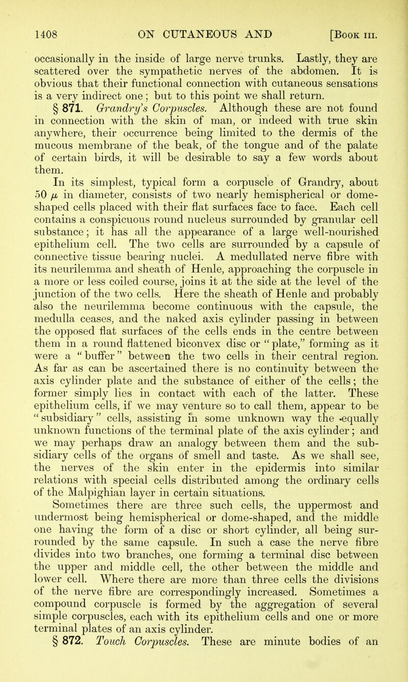 occasionally in the inside of large nerve trunks. Lastly, they are scattered over the sympathetic nerves of the abdomen. It is obvious that their functional connection with cutaneous sensations is a very indirect one; but to this point we shall return. § 871. Grandrys Corpuscles. Although these are not found in connection with the skin of man, or indeed with true skin anywhere, their occurrence being limited to the dermis of the mucous membrane of the beak, of the tongue and of the palate of certain birds, it will be desirable to say a few words about them. In its simplest, typical form a corpuscle of Grandry, about 50 fjb in diameter, consists of two nearly hemispherical or dome- shaped cells placed with their flat surfaces face to face. Each cell contains a conspicuous round nucleus surrounded by granular cell substance; it has all the appearance of a large well-nourished epithelium cell. The two cells are surrounded by a capsule of connective tissue bearing nuclei. A medullated nerve fibre with its neurilemma and sheath of Henle, approaching the corpuscle in a more or less coiled course, joins it at the side at the level of the junction of the two cells. Here the sheath of Henle and probably also the neurilemma become continuous with the capsule, the medulla ceases, and the naked axis cylinder passing in between the opposed flat surfaces of the cells ends in the centre between them in a round flattened biconvex disc or  plate, forming as it were a  buffer between the two cells in their central region. As far as can be ascertained there is no continuity between the axis cylinder plate and the substance of either of the cells; the former simply lies in contact with each of the latter. These epithelium cells, if we may venture so to call them, appear to be subsidiary cells, assisting in some unknown way the .equally unknown functions of the terminal plate of the axis cylinder; and we may perhaps draw an analogy between them and the sub- sidiary cells of the organs of smell and taste. As we shall see, the nerves of the skin enter in the epidermis into similar relations with special cells distributed among the ordinary cells of the Malpighian layer in certain situations. Sometimes there are three such cells, the uppermost and undermost being hemispherical or dome-shaped, and the middle one having the form of a disc or short cylinder, all being sur- rounded by the same capsule. In such a case the nerve fibre divides into two branches, one forming a terminal disc between the upper and middle cell, the other between the middle and lower cell. Where there are more than three cells the divisions of the nerve fibre are correspondingly increased. Sometimes a compound corpuscle is formed by the aggregation of several simple corpuscles, each with its epithelium cells and one or more terminal plates of an axis cylinder. § 872. Touch Corpuscles. These are minute bodies of an