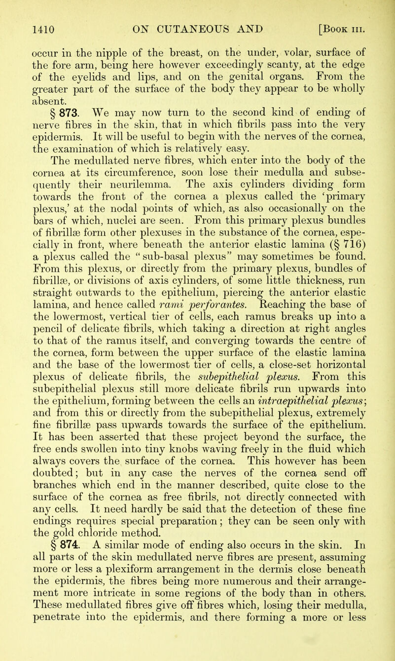 occur in the nipple of the breast, on the under, volar, surface of the fore arm, being here however exceedingly scanty, at the edge of the eyelids and lips, and on the genital organs. From the greater part of the surface of the body they appear to be wholly absent. § 873. We may now turn to the second kind of ending of nerve fibres in the skin, that in which fibrils pass into the very epidermis. It will be useful to begin with the nerves of the cornea, the examination of which is relatively easy. The medullated nerve fibres, which enter into the body of the cornea at its circumference, soon lose their medulla and subse- quently their neurilemma. The axis cylinders dividing form towards the front of the cornea a plexus called the 'primary plexus,' at the nodal points of which, as also occasionally on the bars of which, nuclei are seen. From this primary plexus bundles of fibrillse form other plexuses in the substance of the cornea, espe- cially in front, where beneath the anterior elastic lamina (§ 716) a plexus called the sub-basal plexus may sometimes be found. From this plexus, or directly from the primary plexus, bundles of fibrillae, or divisions of axis cylinders, of some little thickness, run straight outwards to the epithelium, piercing the anterior elastic lamina, and hence called rami perforantes. Reaching the base of the lowermost, vertical tier of cells, each ramus breaks up into a pencil of delicate fibrils, which taking a direction at right angles to that of the ramus itself, and converging towards the centre of the cornea, form between the upper surface of the elastic lamina and the base of the lowermost tier of cells, a close-set horizontal plexus of delicate fibrils, the subepithelial plexus. From this subepithelial plexus still more delicate fibrils run upwards into the epithelium, forming between the cells an intraepithelial plexus; and from this or directly from the subepithelial plexus, extremely fine fibrillse pass upwards towards the surface of the epithelium. It has been asserted that these project beyond the surface, the free ends swollen into tiny knobs waving freely in the fluid which always covers the surface of the cornea. This however has been doubted; but in any case the nerves of the cornea send off branches which end in the manner described, quite close to the surface of the cornea as free fibrils, not directly connected with any cells. It need hardly be said that the detection of these fine endings requires special preparation; they can be seen only with the gold chloride method. § 874. A similar mode of ending also occurs in the skin. In all parts of the skin medullated nerve fibres are present, assuming more or less a plexiform arrangement in the dermis close beneath the epidermis, the fibres being more numerous and their arrange- ment more intricate in some regions of the body than in others. These medullated fibres give off fibres which, losing their medulla, penetrate into the epidermis, and there forming a more or less