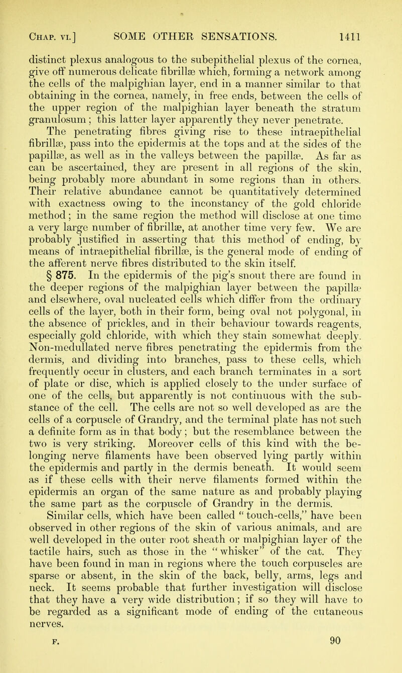 distinct plexus analogous to the subepithelial plexus of the cornea, give off numerous delicate fibrillse which, forming a network among the cells of the malpighian layer, end in a manner similar to that obtaining in the cornea, namely, in free ends, between the cells of the upper region of the malpighian layer beneath the stratum granulosum; this latter layer apparently they never penetrate. The penetrating fibres giving rise to these intraepithelial fibrillse, pass into the epidermis at the tops and at the sides of the papillae, as well as in the valleys between the papillae. As far as can be ascertained, they are present in all regions of the skin, being probably more abundant in some regions than in others. Their relative abundance cannot be quantitatively determined with exactness owing to the inconstancy of the gold chloride method; in the same region the method will disclose at one time a very large number of fibrillse, at another time very few. We are probably justified in asserting that this method of ending, by means of intraepithelial fibrillse, is the general mode of ending of the afferent nerve fibres distributed to the skin itself. § 875. In the epidermis of the pig's snout there are found in the deeper regions of the malpighian layer between the papillae and elsewhere, oval nucleated cells which differ from the ordinary cells of the layer, both in their form, being oval not polygonal, in the absence of prickles, and in their behaviour towards reagents, especially gold chloride, with which they stain somewhat deeply. Non-medullated nerve fibres penetrating the epidermis from the dermis, and dividing into branches, pass to these cells, which frequently occur in clusters, and each branch terminates in a sort of plate or disc, which is applied closely to the under surface of one of the cells, but apparently is not continuous with the sub- stance of the cell. The cells are not so well developed as are the cells of a corpuscle of Grandry, and the terminal plate has not such a definite form as in that body; but the resemblance between the two is very striking. Moreover cells of this kind with the be- longing nerve filaments have been observed lying partly within the epidermis and partly in the dermis beneath. It would seem as if these cells with their nerve filaments formed within the epidermis an organ of the same nature as and probably playing the same part as the corpuscle of Grandry in the dermis. Similar cells, which have been called  touch-cells, have been observed in other regions of the skin of various animals, and are well developed in the outer root sheath or malpighian layer of the tactile hairs, such as those in the ''whisker of the cat. They have been found in man in regions where the touch corpuscles are sparse or absent, in the skin of the back, belly, arms, legs and neck. It seems probable that further investigation will disclose that they have a very wide distribution; if so they will have to be regarded as a significant mode of ending of the cutaneous nerves. F. 90