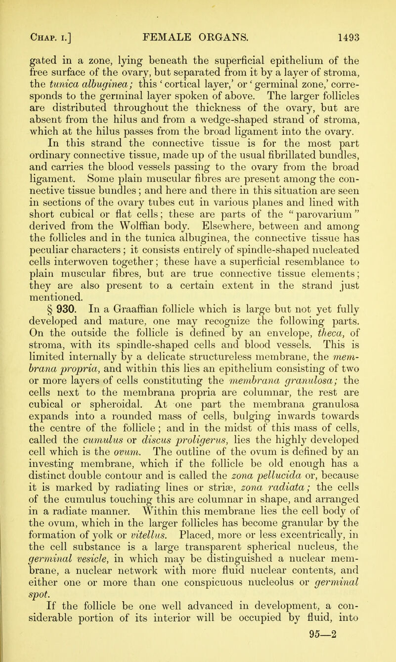 gated in a zone, lying beneath the superficial epithelium of the free surface of the ovary, but separated from it by a layer of stroma, the tunica alhuginea; this ' cortical layer,' or ' germinal zone,' corre- sponds to the germinal layer spoken of above. The larger follicles are distributed throughout the thickness of the ovary, but are absent from the hilus and from a wedge-shaped strand of stroma, which at the hilus passes from the broad ligament into the ovary. In this strand the connective tissue is for the most part ordinary connective tissue, made up of the usual fibrillated bundles, and carries the blood vessels passing to the ovary from the broad ligament. Some plain muscular fibres are present among the con- nective tissue bundles ; and here and there in this situation are seen in sections of the ovary tubes cut in various planes and lined with short cubical or flat cells; these are parts of the parovarium derived from the Wolffian body. Elsewhere, between and among the follicles and in the tunica albuginea, the connective tissue has peculiar characters ; it consists entirely of spindle-shaped nucleated cells interwoven together; these have a superficial resemblance to plain muscular fibres, but are true connective tissue elements; they are also present to a certain extent in the strand just mentioned. § 930. In a Graaffian follicle which is large but not yet fully developed and mature, one may recognize the following parts. On the outside the follicle is defined by an envelope, theca, of stroma, with its spindle-shaped cells and blood vessels. This is limited internally by a delicate structureless membrane, the mem- hrana propria, and within this lies an epithelium consisting of two or more layers of cells constituting the memhrana granulosa; the cells next to the membrana propria are columnar, the rest are cubical or spheroidal. At one part the membrana granulosa expands into a rounded mass of cells, bulging inwards towards the centre of the follicle ; and in the midst of this mass of cells, called the cmnulus or discus proligerus, lies the highly developed cell which is the ovum. The outline of the ovum is defined by an investing membrane, which if the follicle be old enough has a distinct double contour and is called the zona pellucida or, because it is marked by radiating lines or striae, zona radiata; the cells of the cumulus touching this are columnar in shape, and arranged in a radiate manner. Within this membrane lies the cell body of the ovum, which in the larger follicles has become granular by the formation of yolk or vitellus. Placed, more or less excentrically, in the cell substance is a large transparent spherical nucleus, the germinal vesicle, in which may be distiuguished a nuclear mem- brane, a nuclear network with more fluid nuclear contents, and either one or more than one conspicuous nucleolus or germinal spot. If the follicle be one well advanced in development, a con- siderable portion of its interior will be occupied by fluid, into 95—2