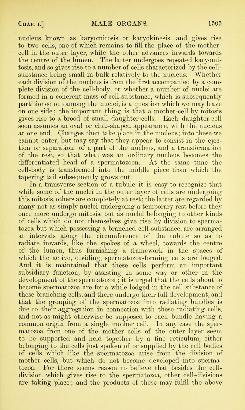 nucleus known as karyomitosis or karyokinesis, and gives rise to two cells, one of which remains to fill the place of the mother- cell in the outer layer, while the other advances inwards towards the centre of the lumen. The latter undergoes repeated karyomi- tosis, and so gives rise to a number of cells characterized by the cell- substance being small in bulk relatively to the nucleus. Whether each division of the nucleus is from the first accompanied by a com- plete division of the cell-body, or whether a number of nuclei are formed in a coherent mass of cell-substance, which is subsequently partitioned out among the nuclei, is a question which we may leave on one side; the important thing is that a mother-cell by mitosis gives rise to a brood of small daughter-cells. Each daughter-cell soon assumes an oval or club-shaped appearance, with the nucleus at one end. Changes then take place in the nucleus; into these we cannot enter, but may say that they appear to consist in the ejec- tion or separation of a part of the nucleus, and a transformation of the rest, so that what was an ordinary nucleus becomes the differentiated head of a spermatozoon. At the same time the cell-body is transformed into the middle piece from which the tapering tail subsequently grows out. In a transverse section of a tubule it is easy to recognize that while some of the nuclei in the outer layer of cells are undergoing this mitosis, others are completely at rest; the latter are regarded by many not as simply nuclei undergoing a temporary rest before they once more undergo mitosis, but as nuclei belonging to other kinds of cells which do not themselves give rise by division to sperma- tozoa but which possessing a branched cell-substance, are arranged at intervals along the circumference of the tubule so as to radiate inwards, like the spokes of a wheel, towards the centre of the lumen, thus furnishing a framework in the spaces of which the active, dividing, spermatozoa-forming cells are lodged. And it is maintained that these cells perform an important subsidiary function, by assisting in some way or other in the development of the spermatozoa; it is urged that the cells about to become spermatozoa are for a while lodged in the cell substance of these branching cells, and there undergo their full development, and that the grouping of the spermatozoa into radiating bundles is due to their aggregation in connection with these radiating cells, and not as might otherwise be supposed to each bundle having a common origin from a single mother cell. In any case the sper- matozoa from one of the mother cells of the outer layer seem to be supported and held together by a fine reticulum, either belonging to the cells just spoken of or supplied by the cell bodies of cells which like the spermatozoa arise from the division of mother cells, but which do not become developed into sperma- tozoa. For there seems reason to believe that besides the cell- division which gives rise to the spermatozoa, other cell-divisions are taking place; and the products of these may fulfil the above